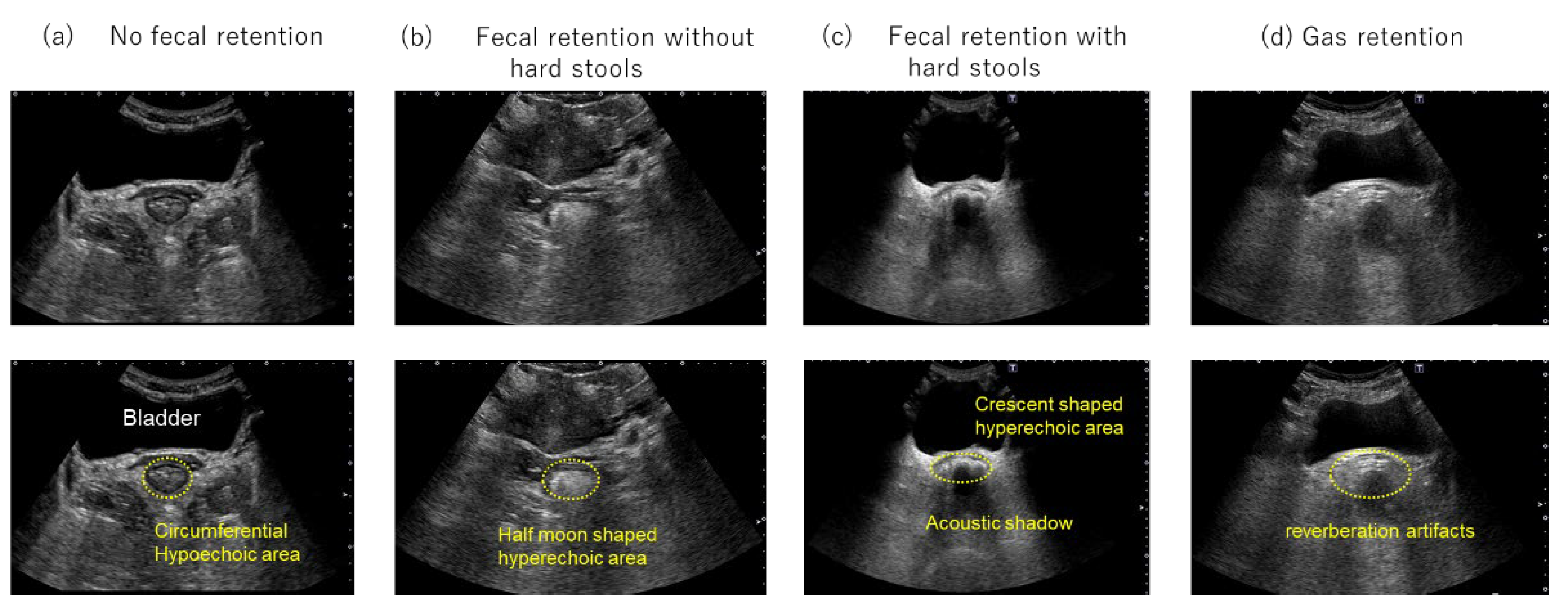 Preprints 181100 g001