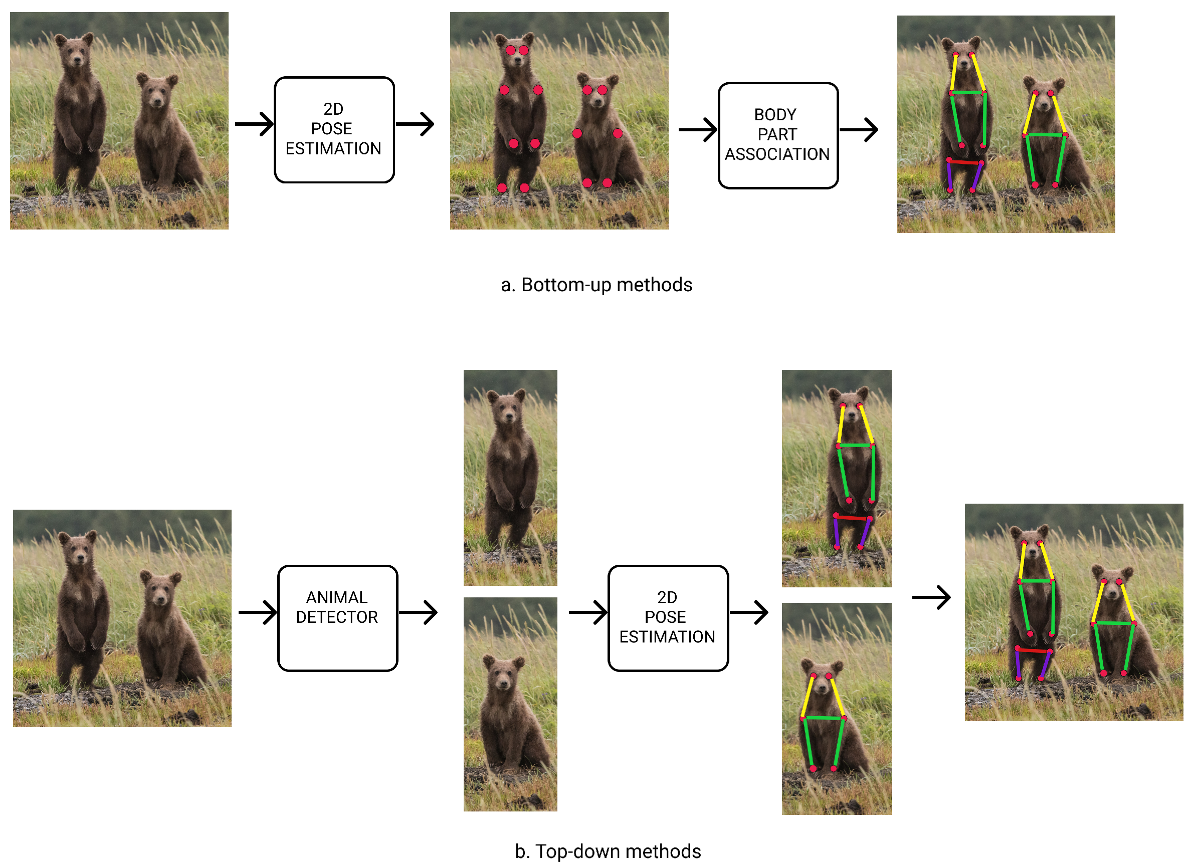 Preprints 71905 g002