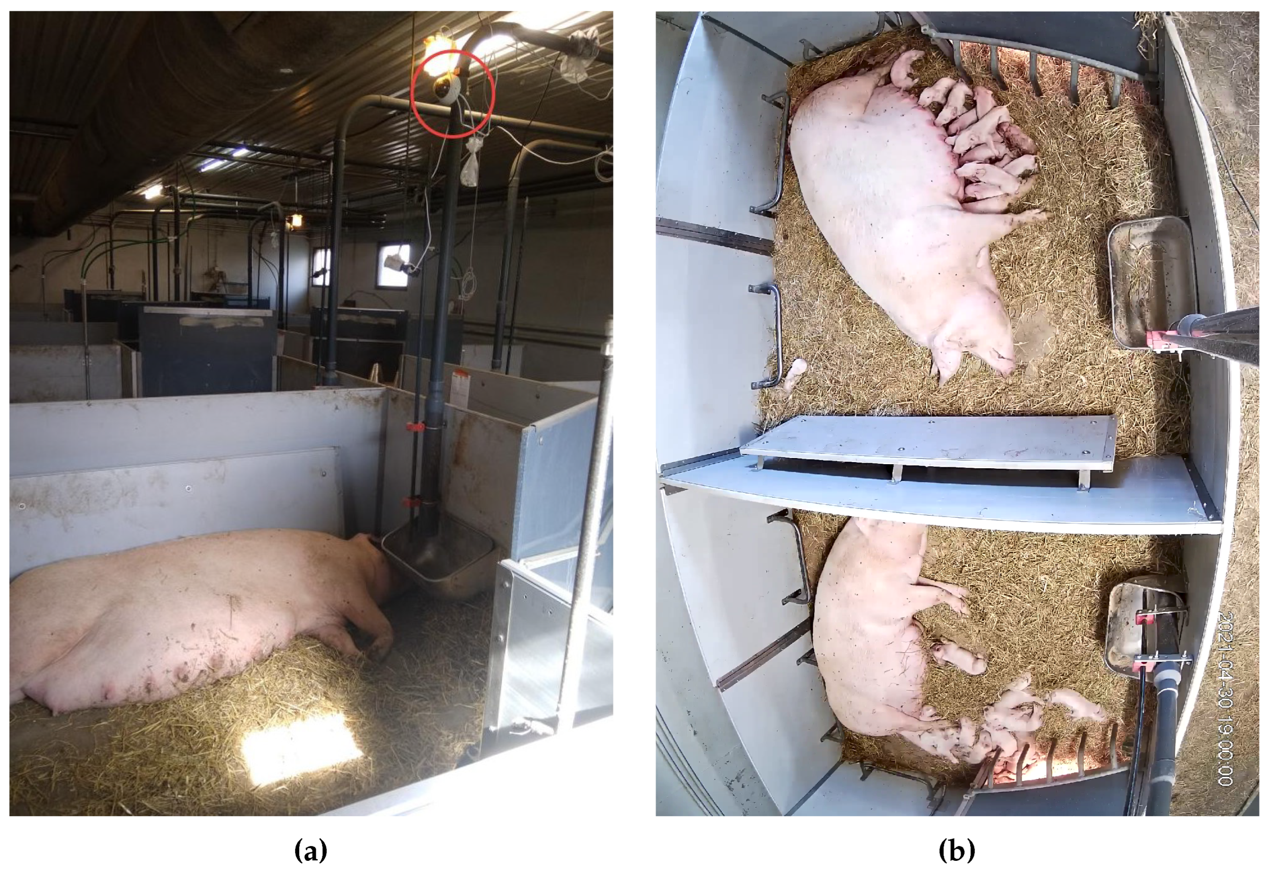 Preprints 71905 g007