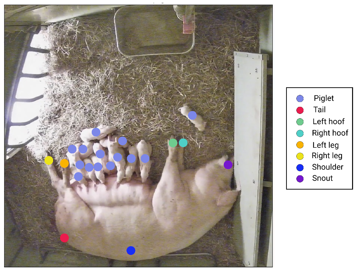 Preprints 71905 g008