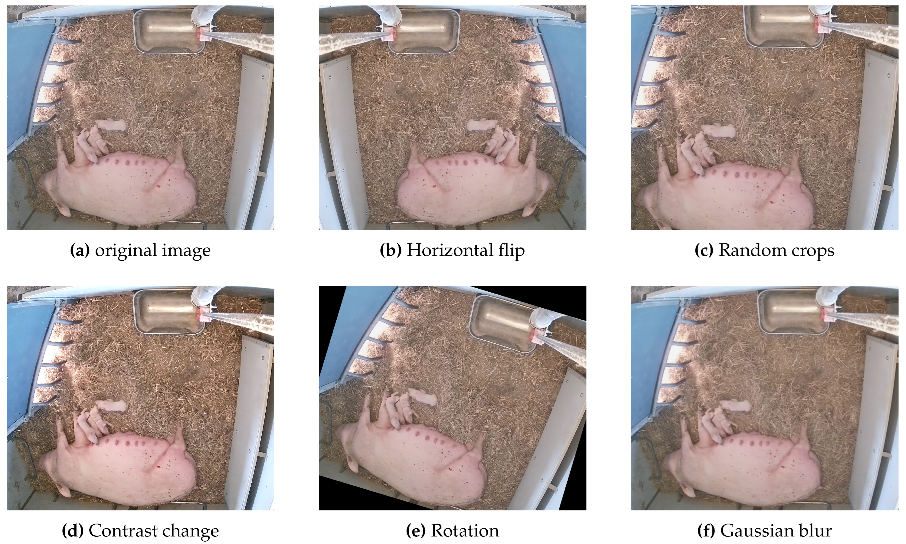 Preprints 71905 g009