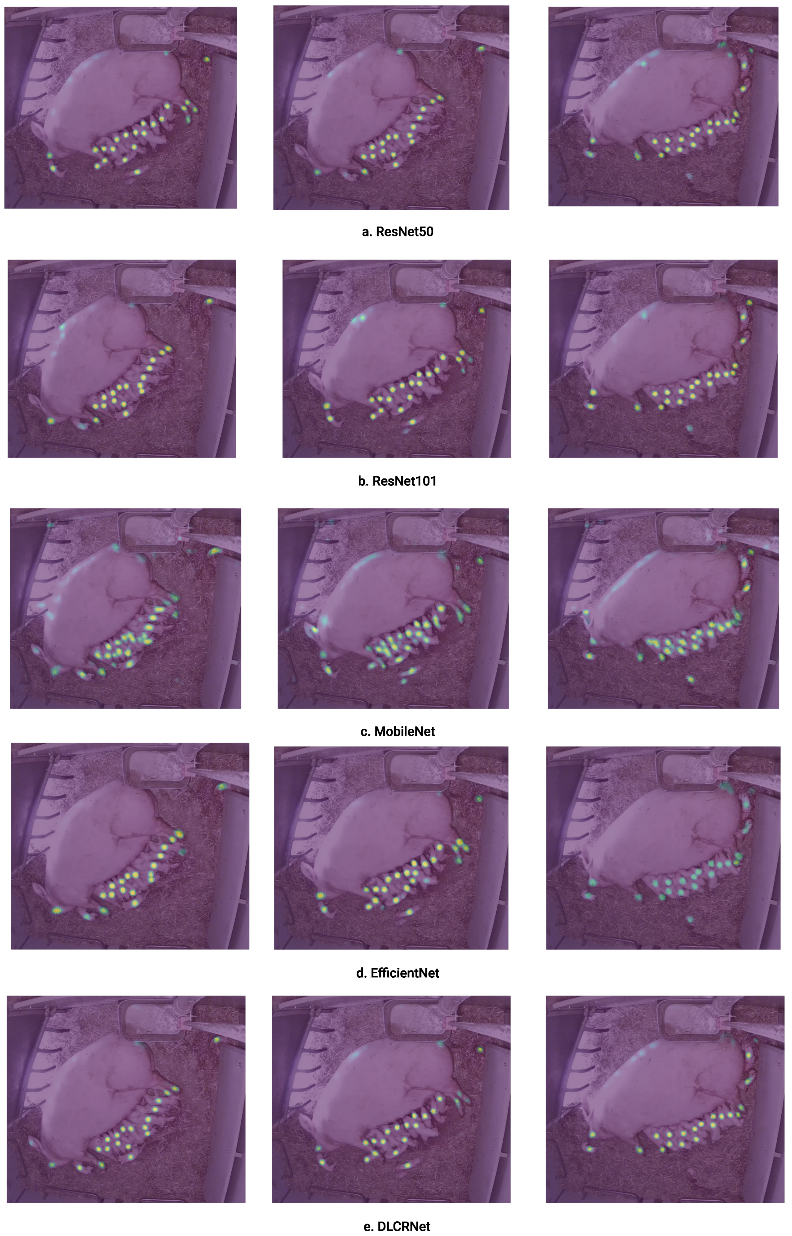 Preprints 71905 g011
