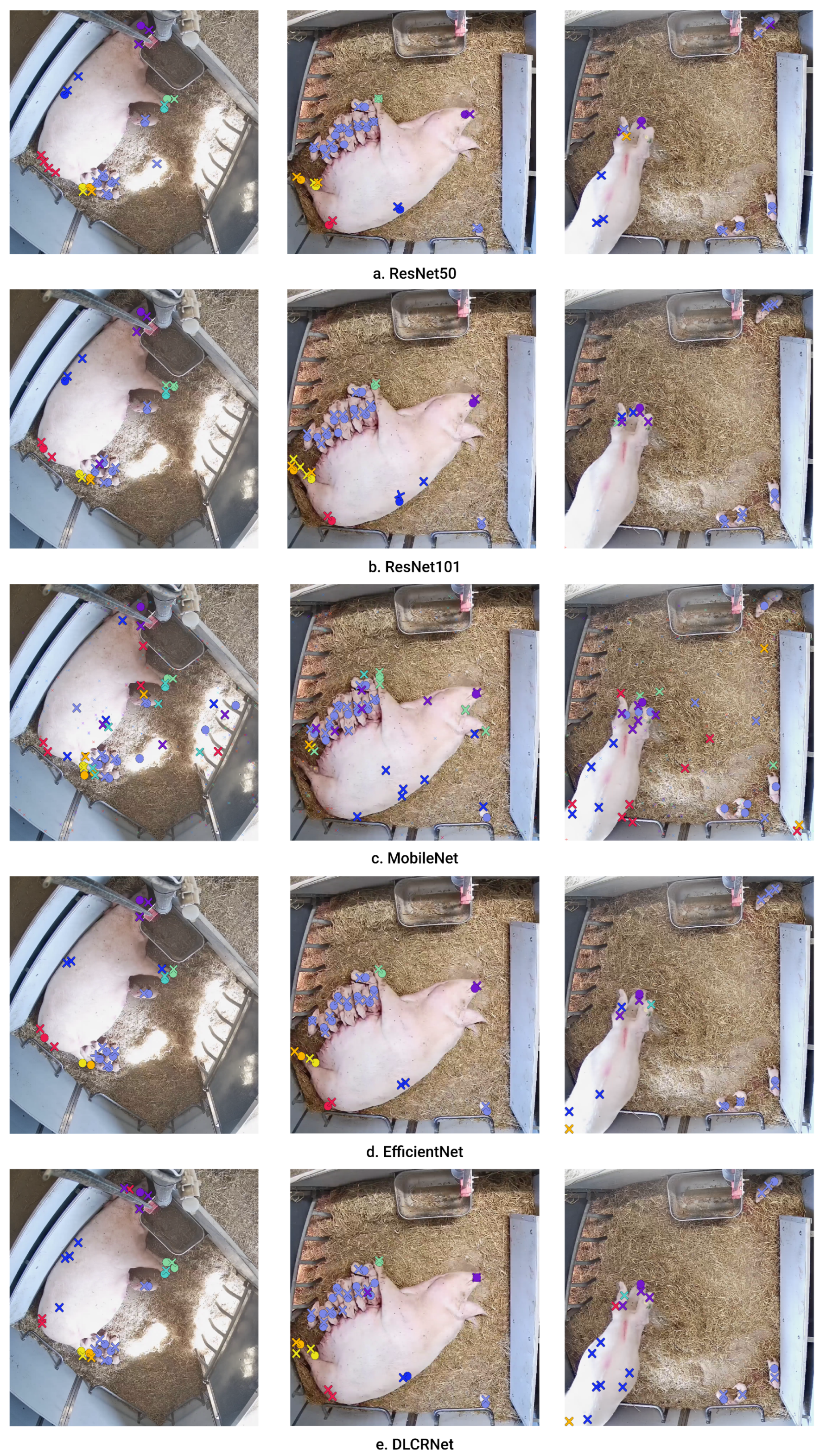 Preprints 71905 g013