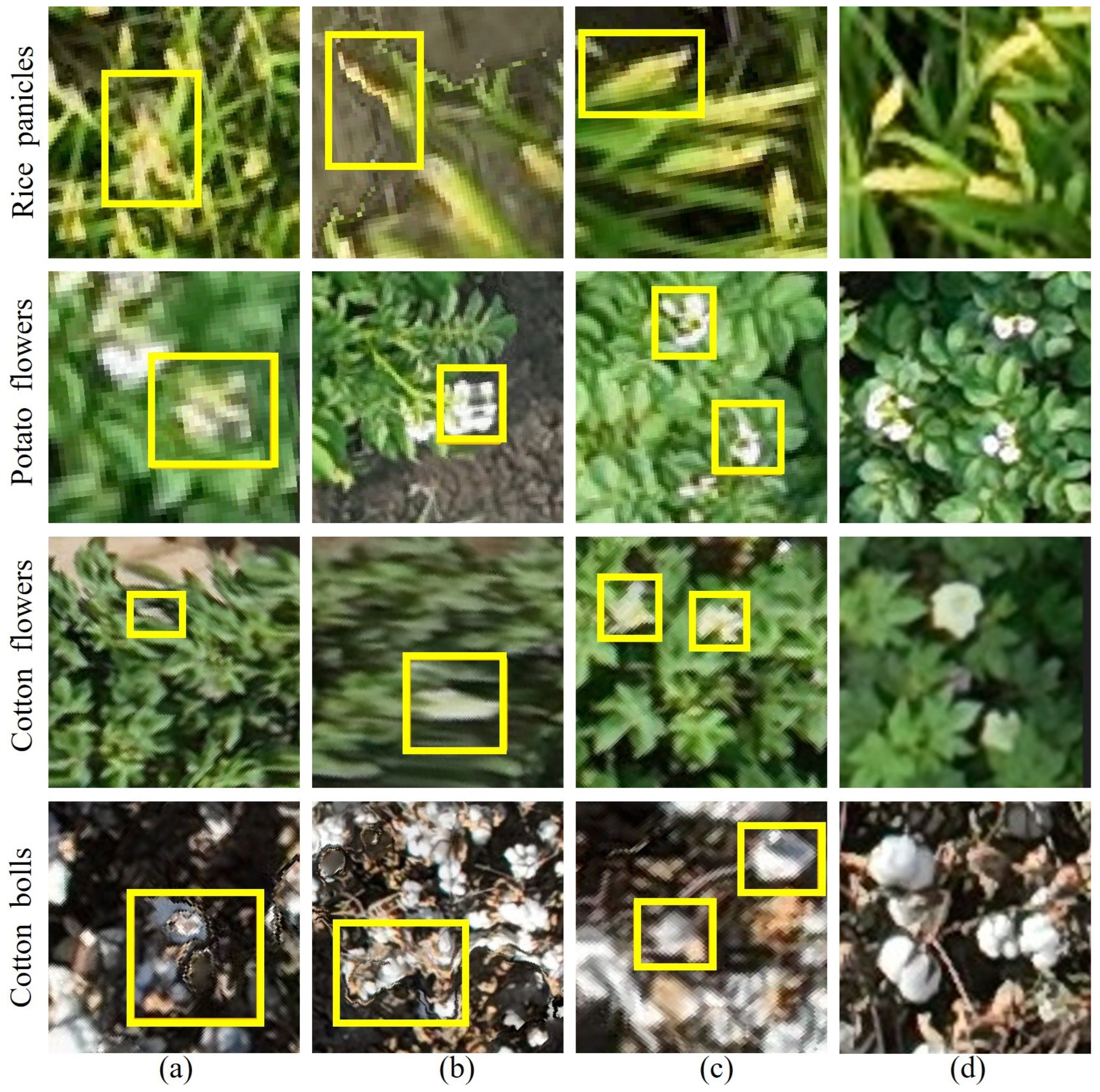 Preprints 143989 g001