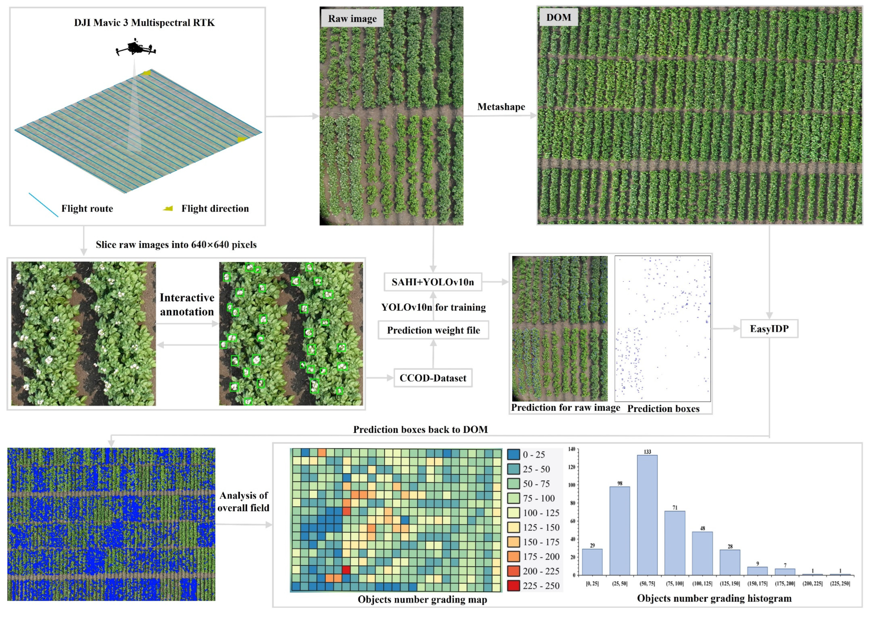 Preprints 143989 g002