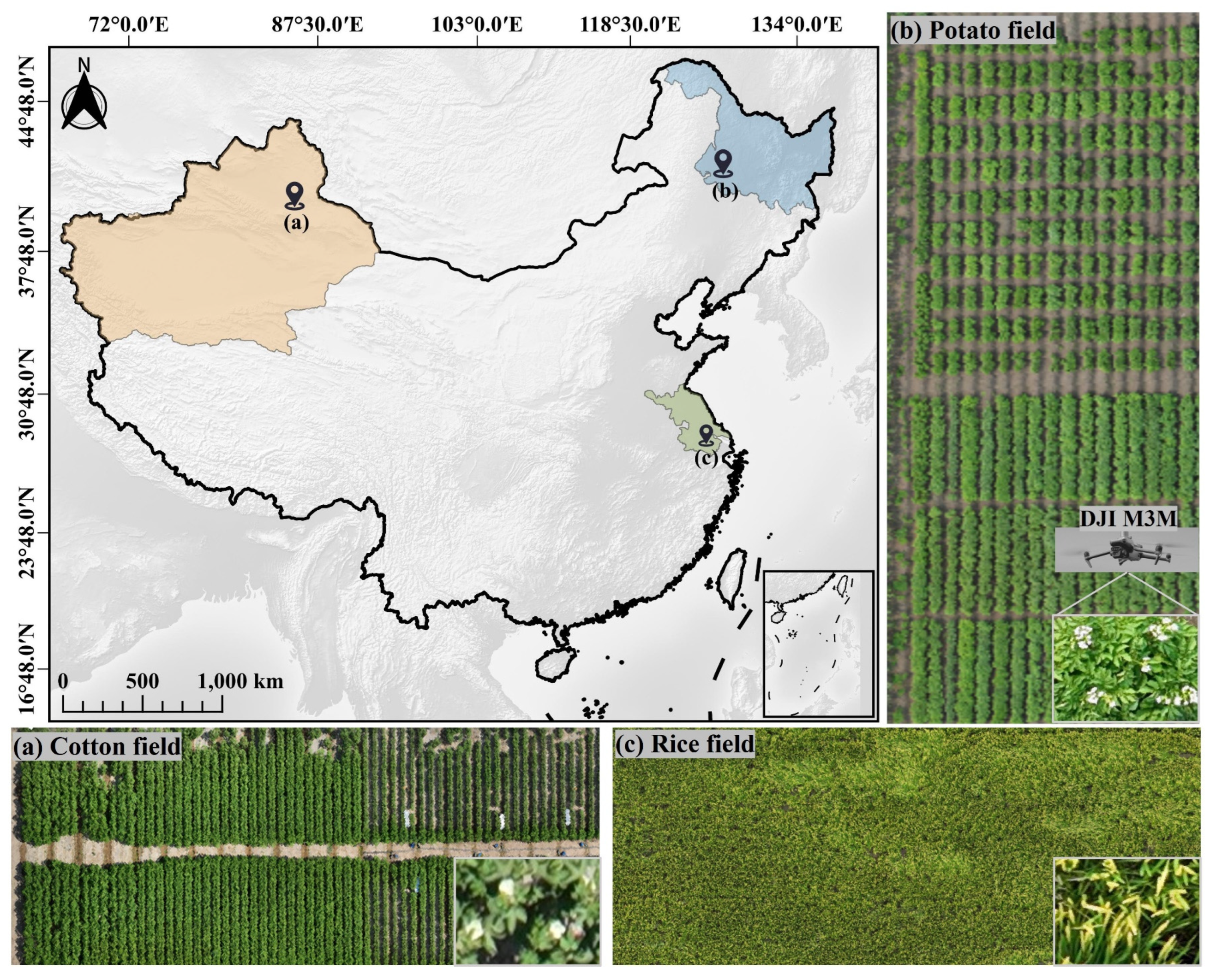 Preprints 143989 g003