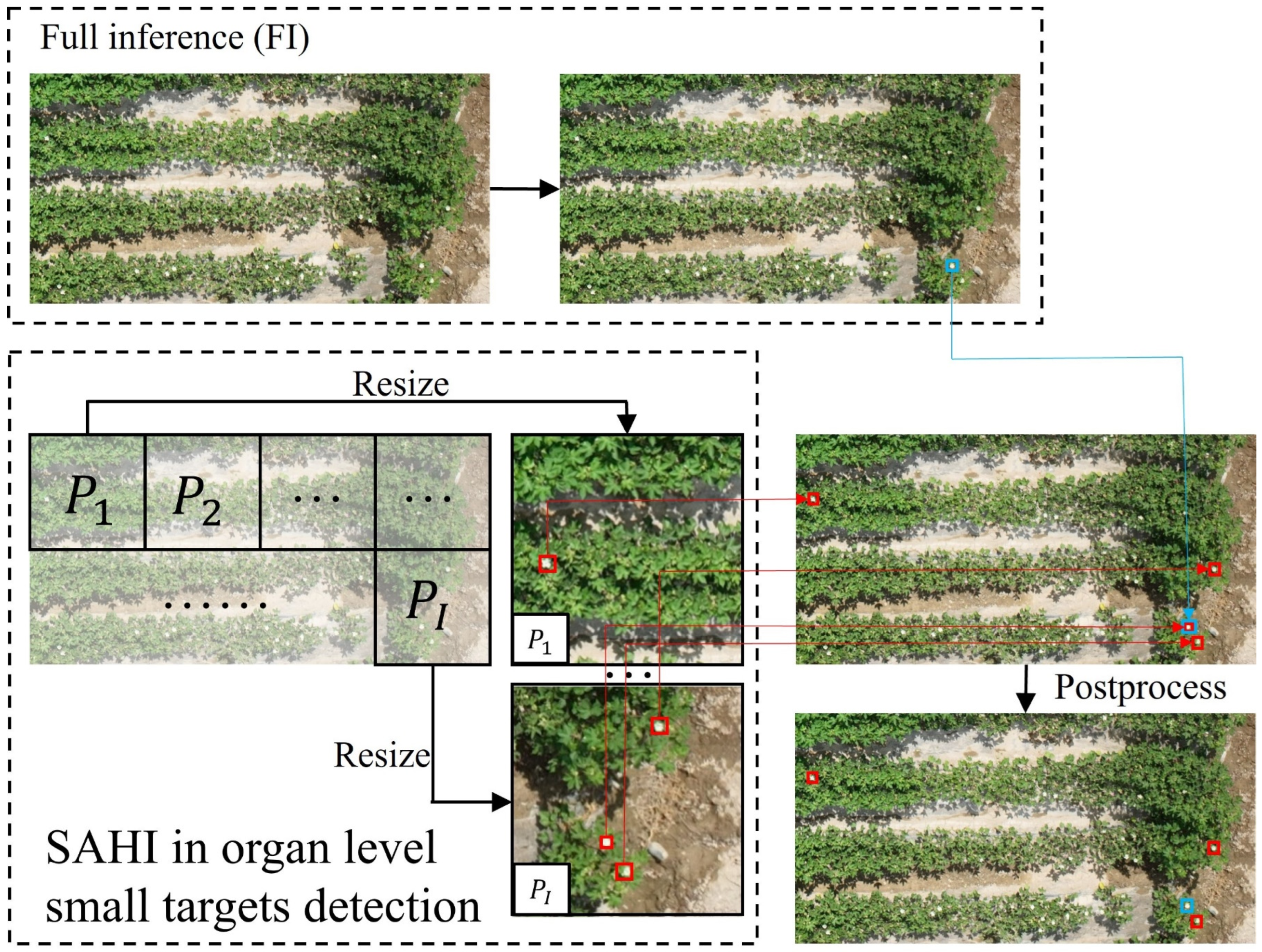 Preprints 143989 g006