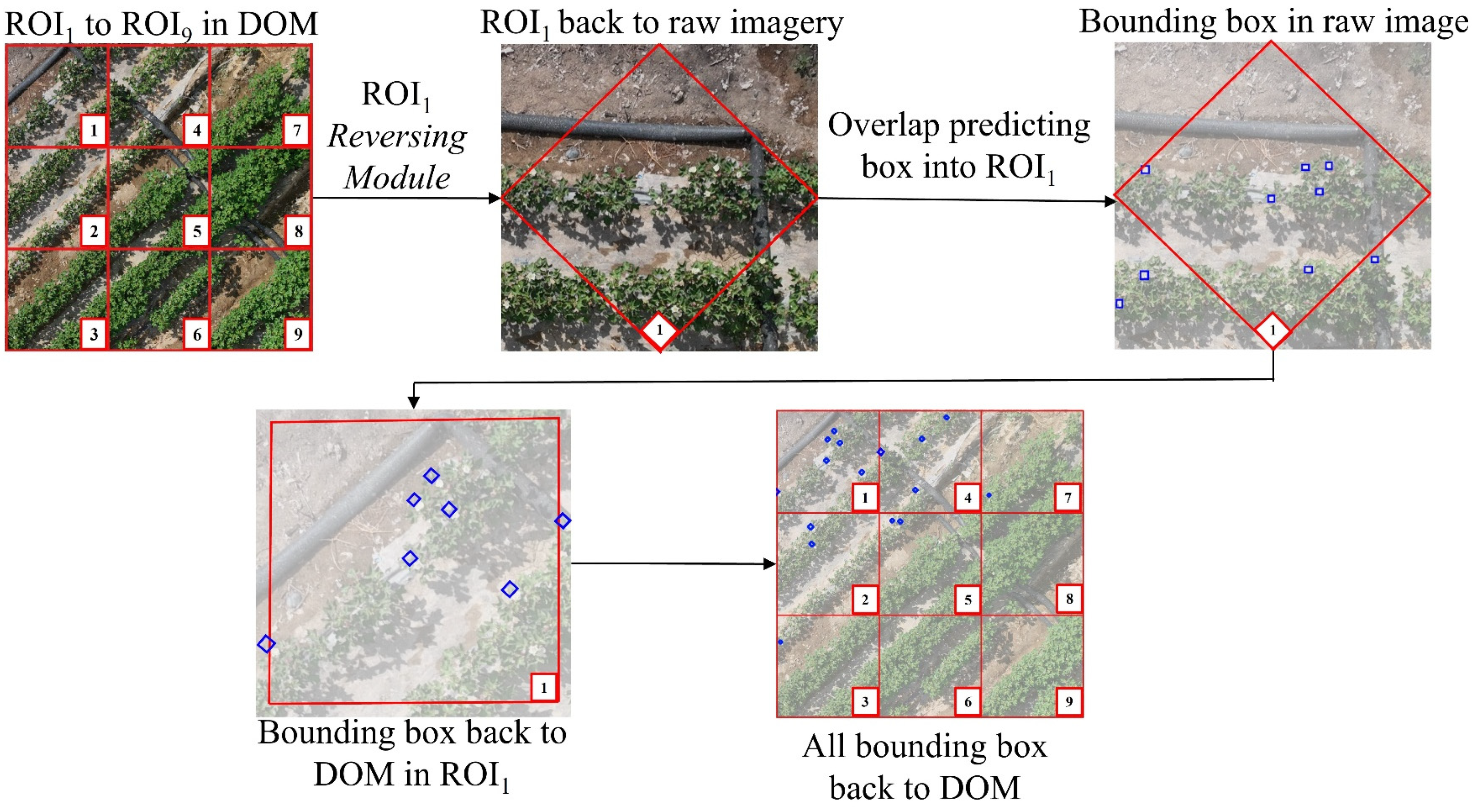 Preprints 143989 g007