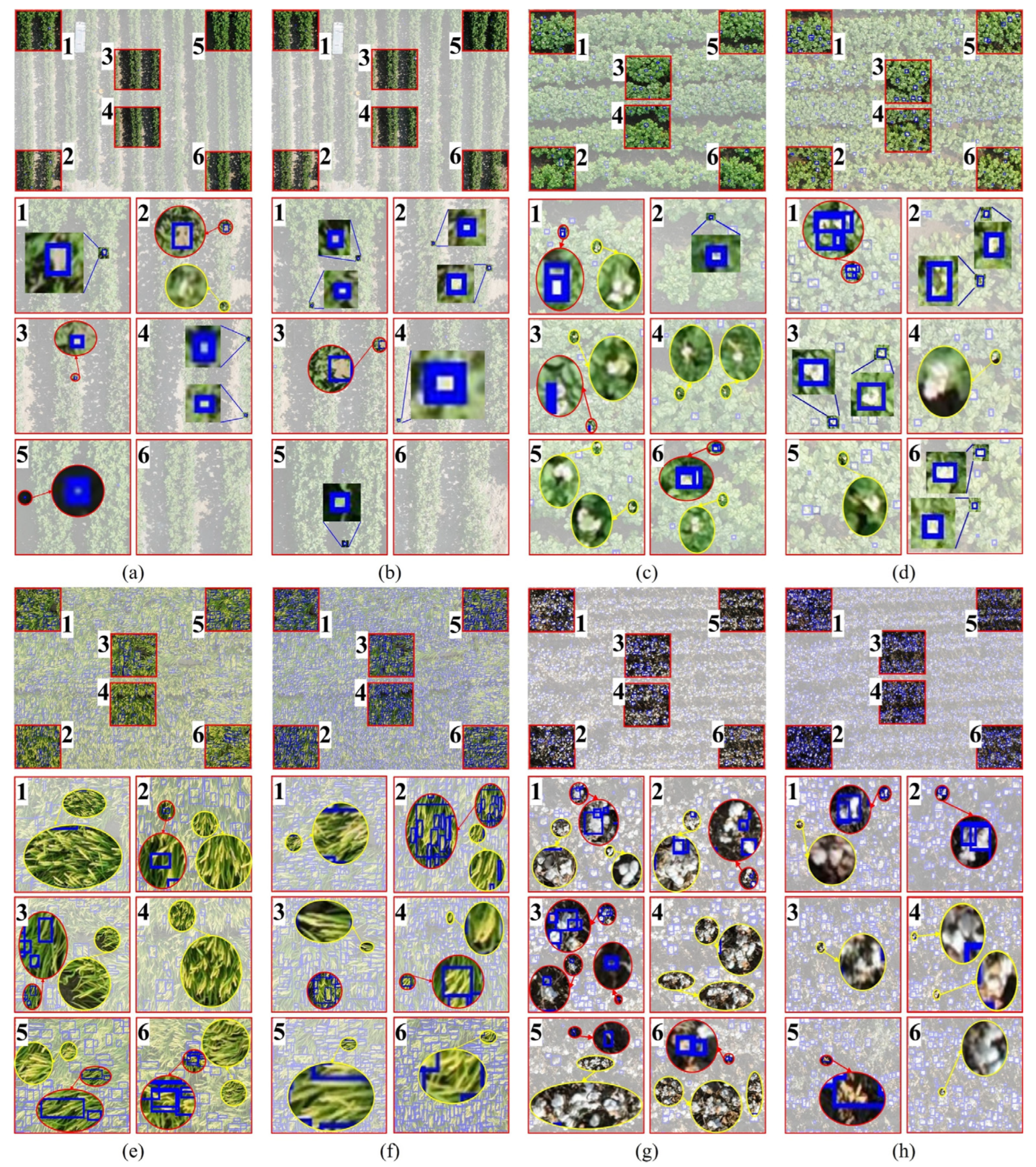 Preprints 143989 g008