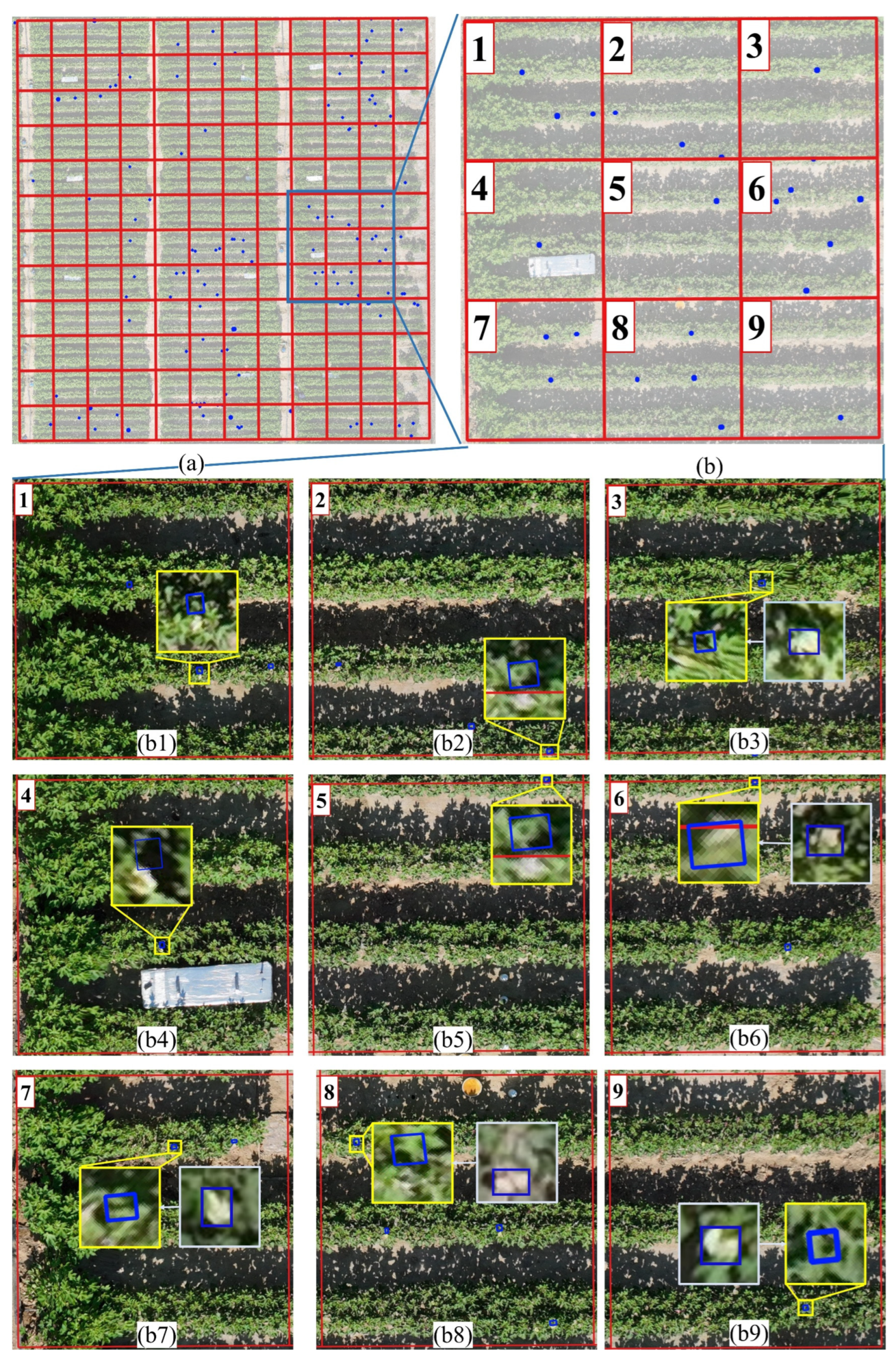 Preprints 143989 g010