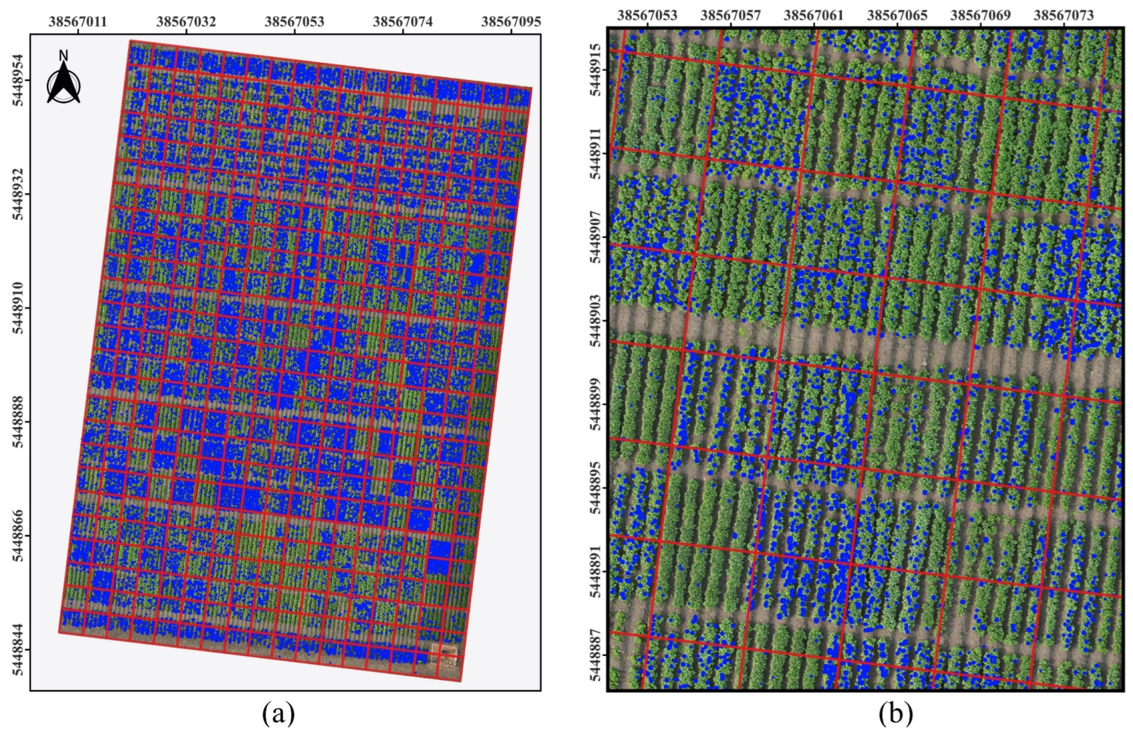 Preprints 143989 g011