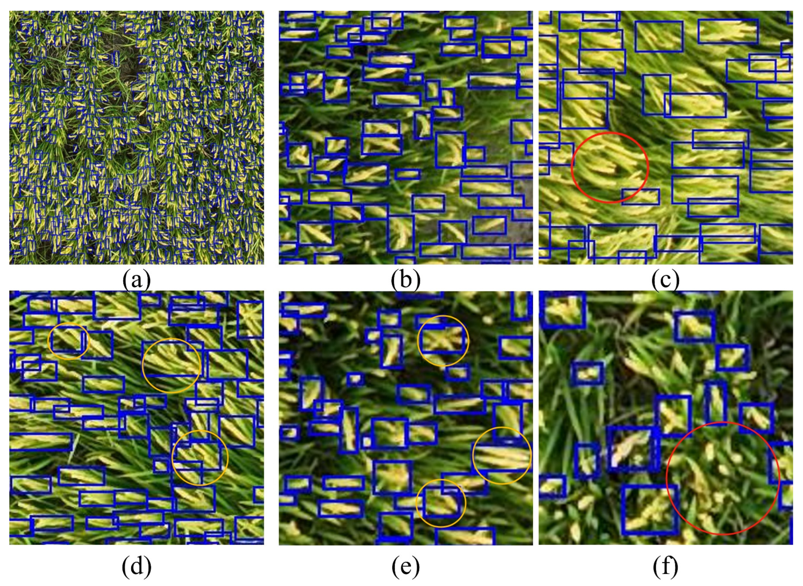 Preprints 143989 g015