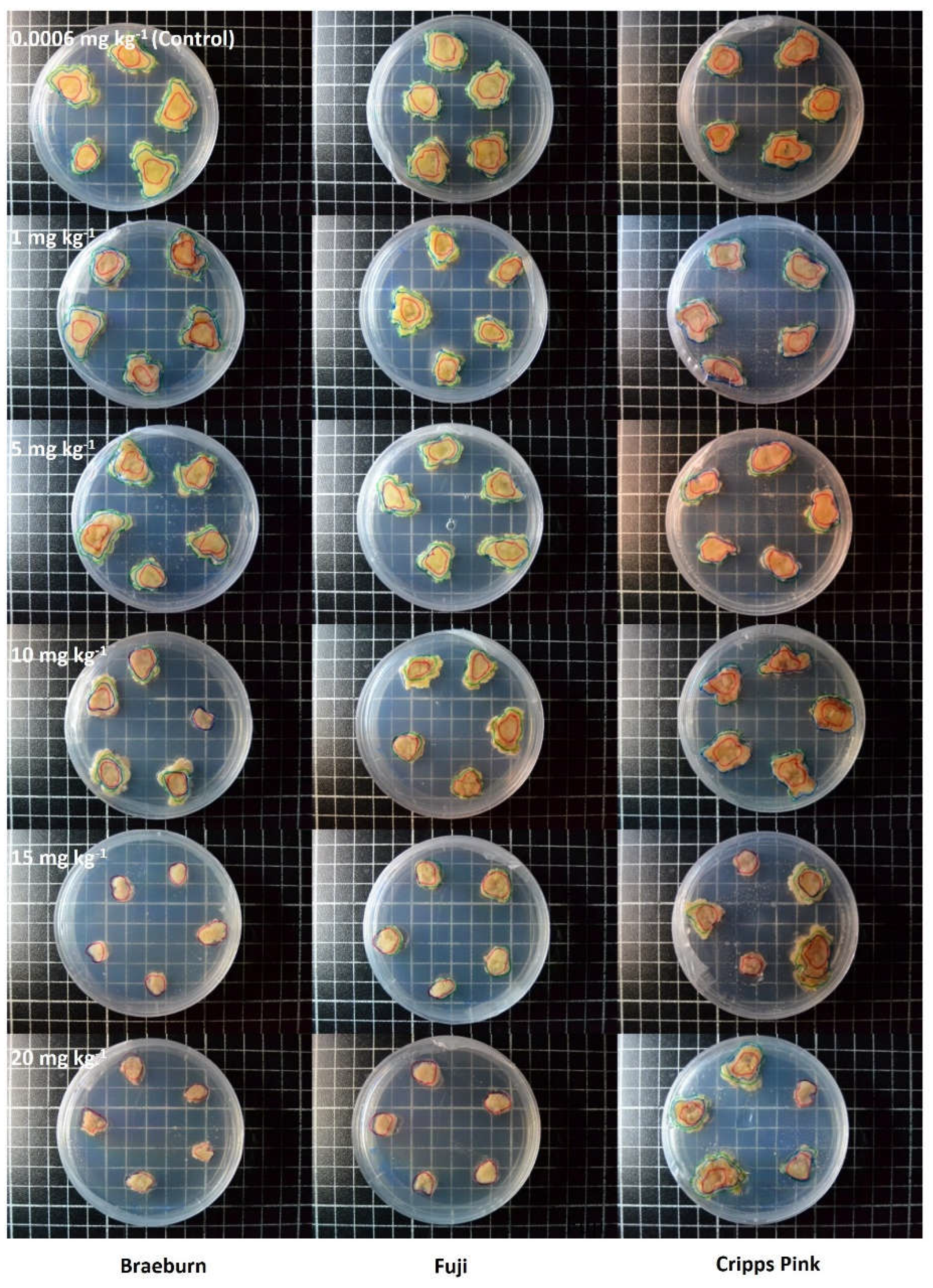 Preprints 118810 g002