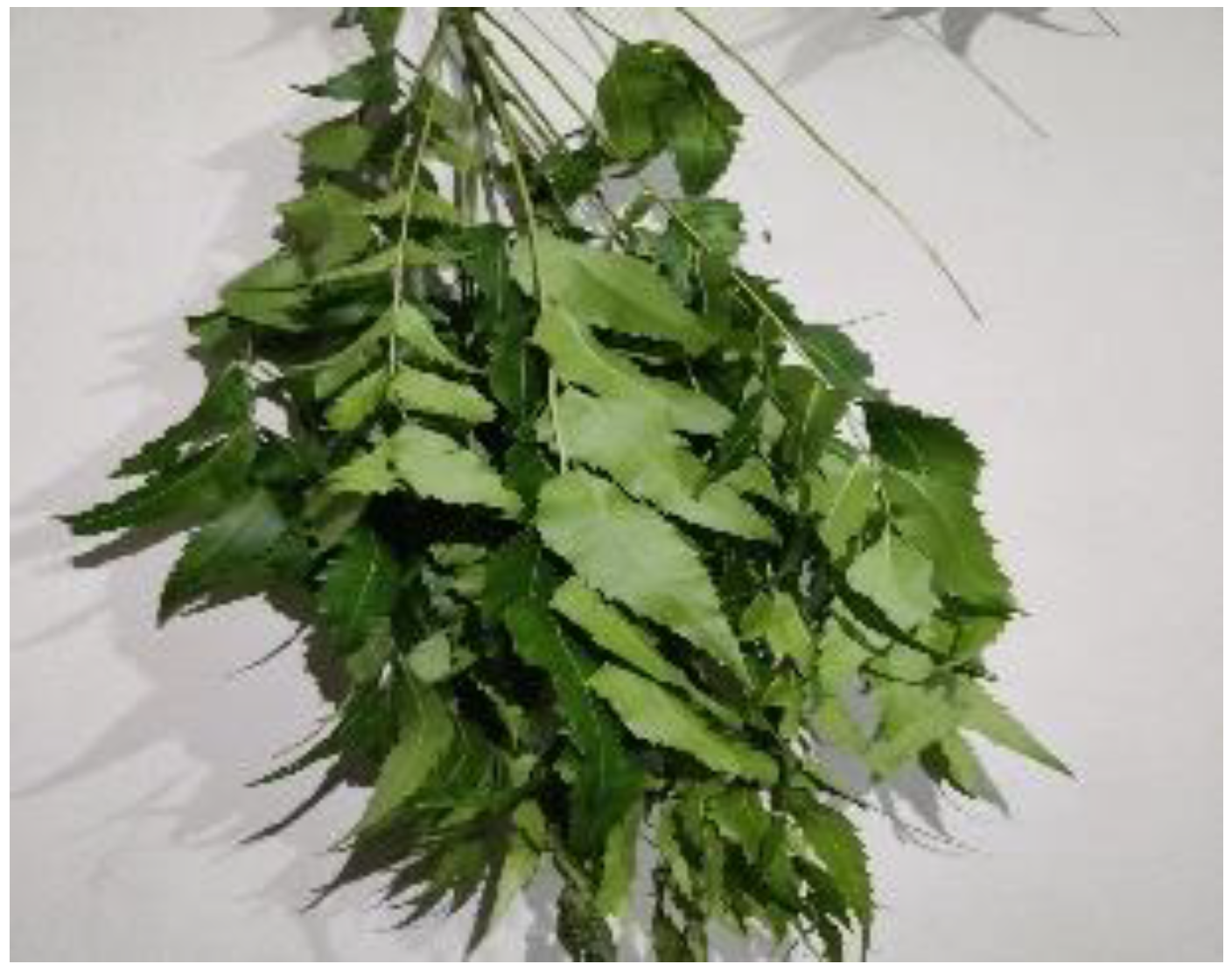 Preprints 152679 g002