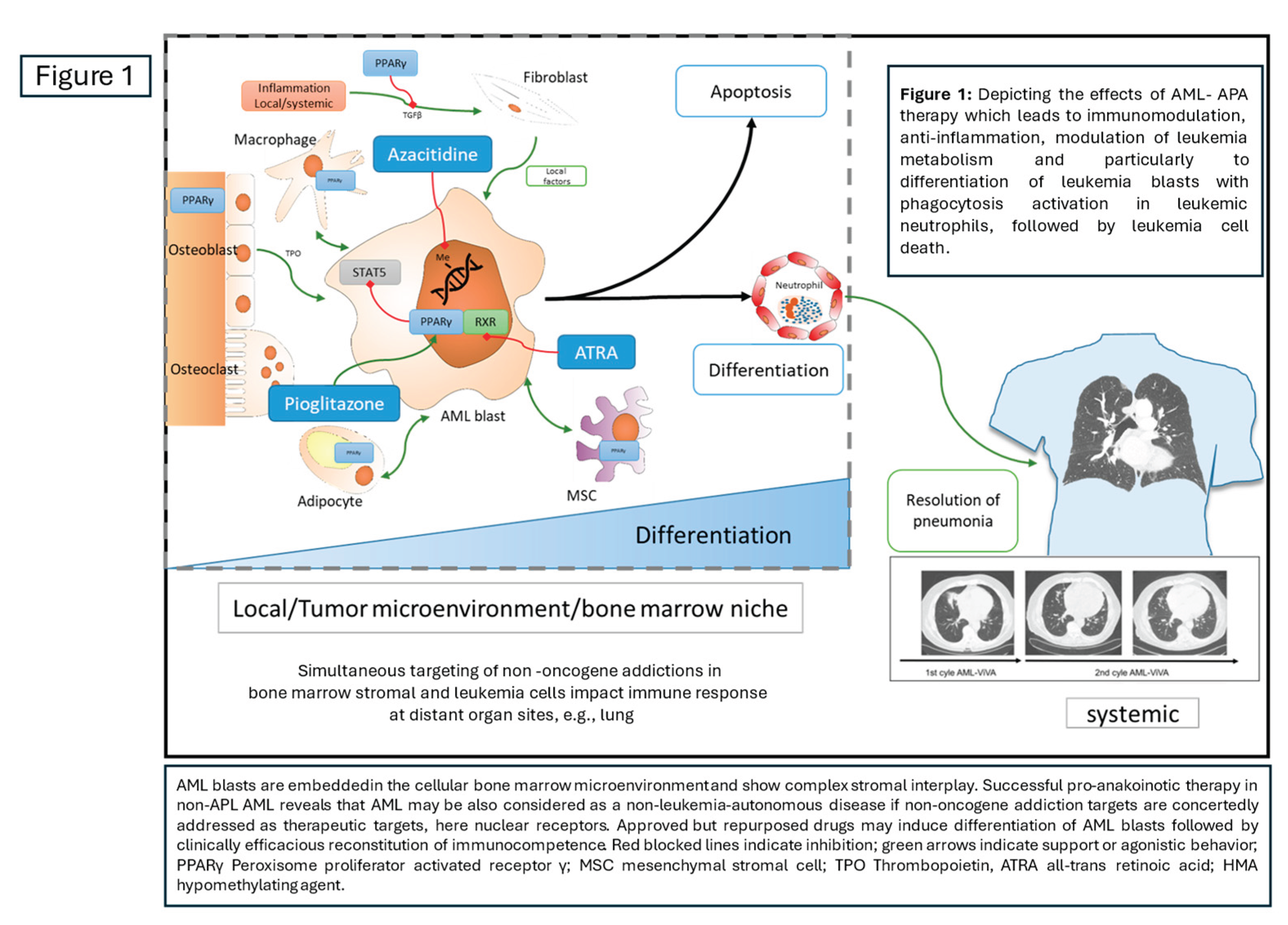 Preprints 191404 g001