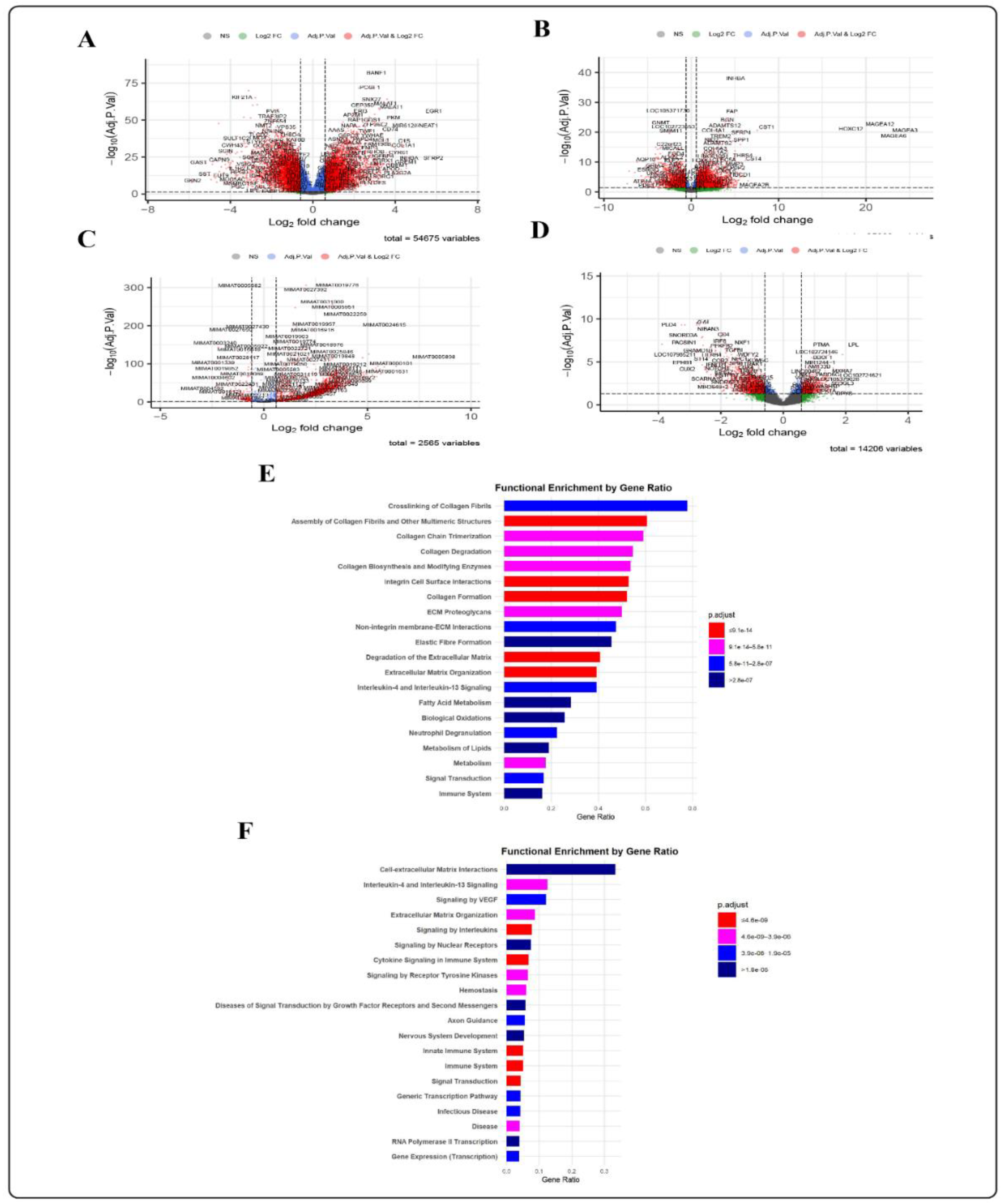 Preprints 180926 g002