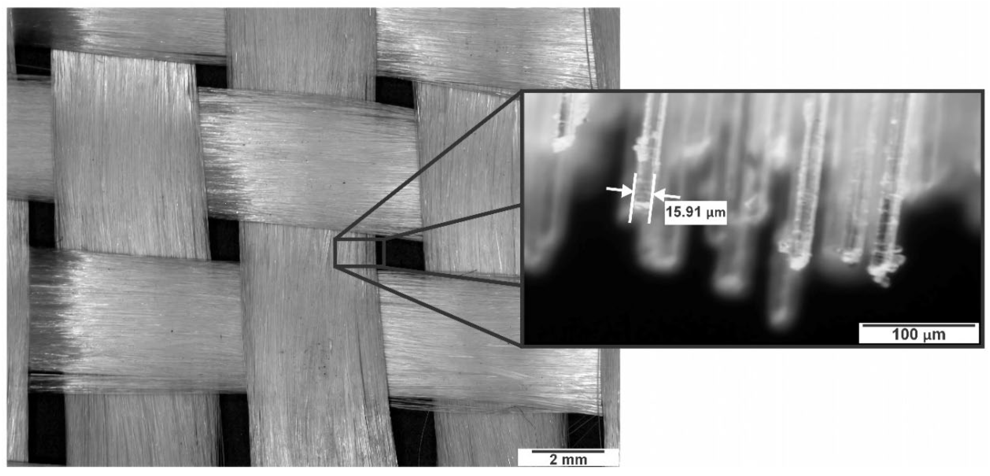 Preprints 191634 g002