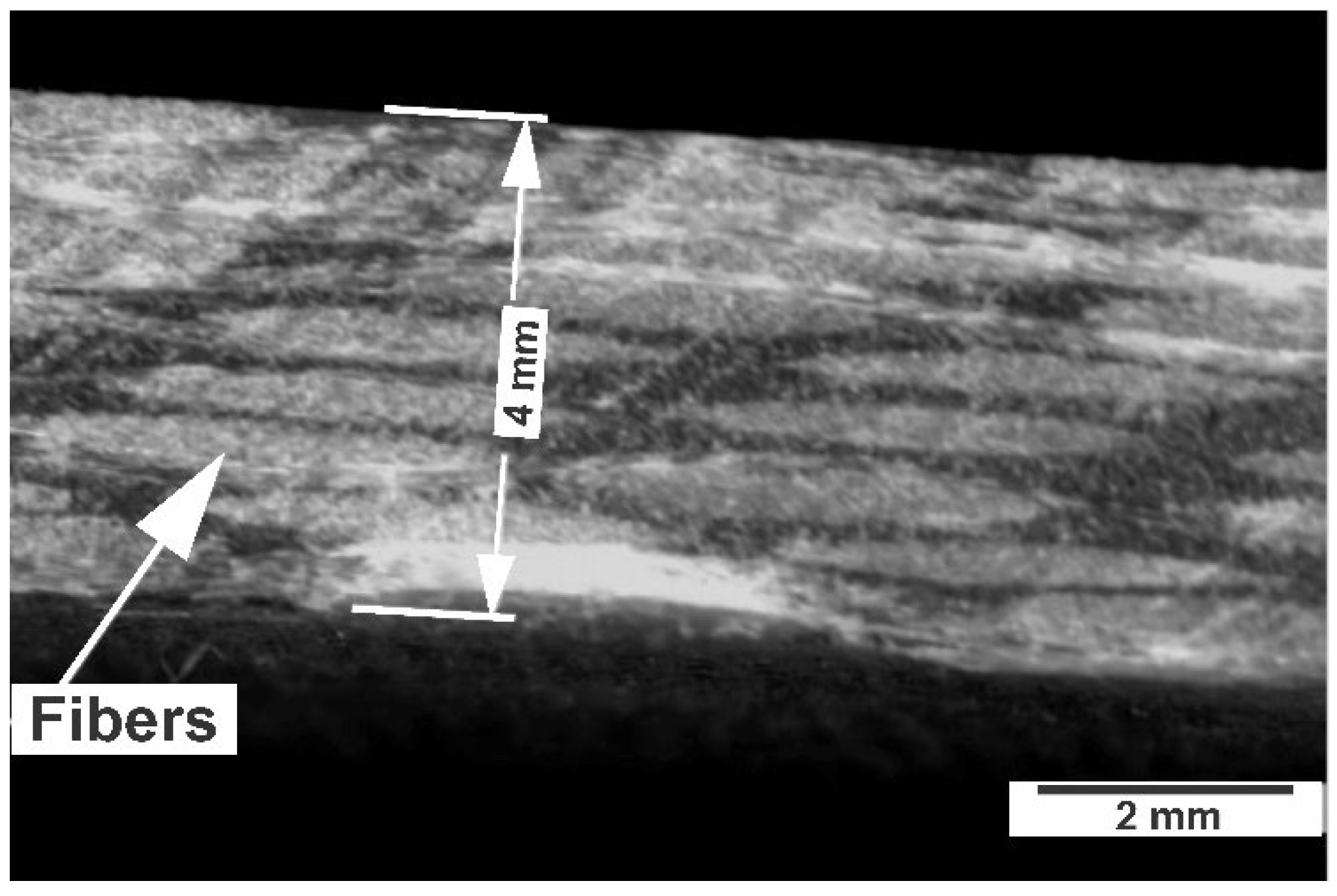 Preprints 191634 g003