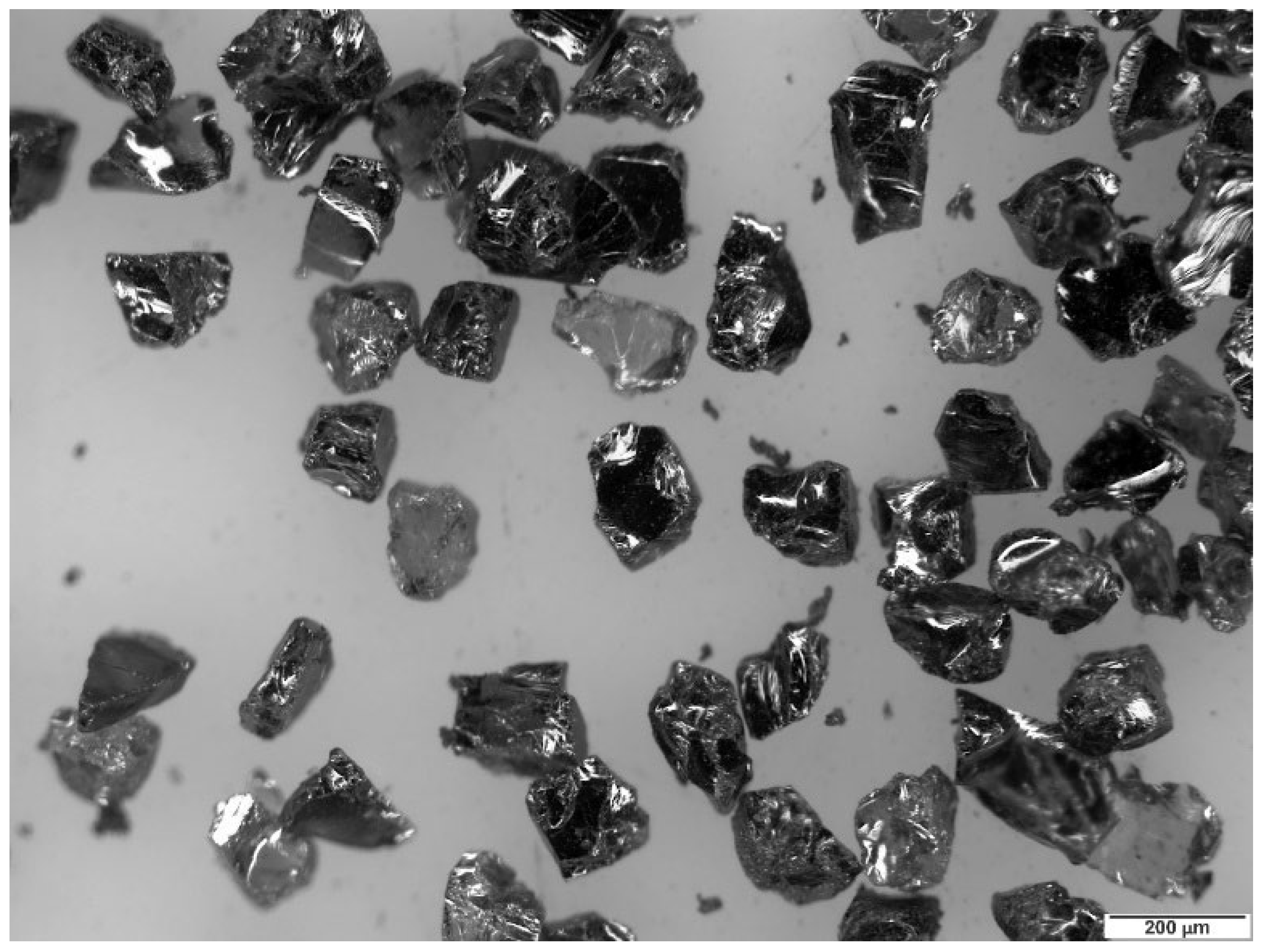 Preprints 191634 g004