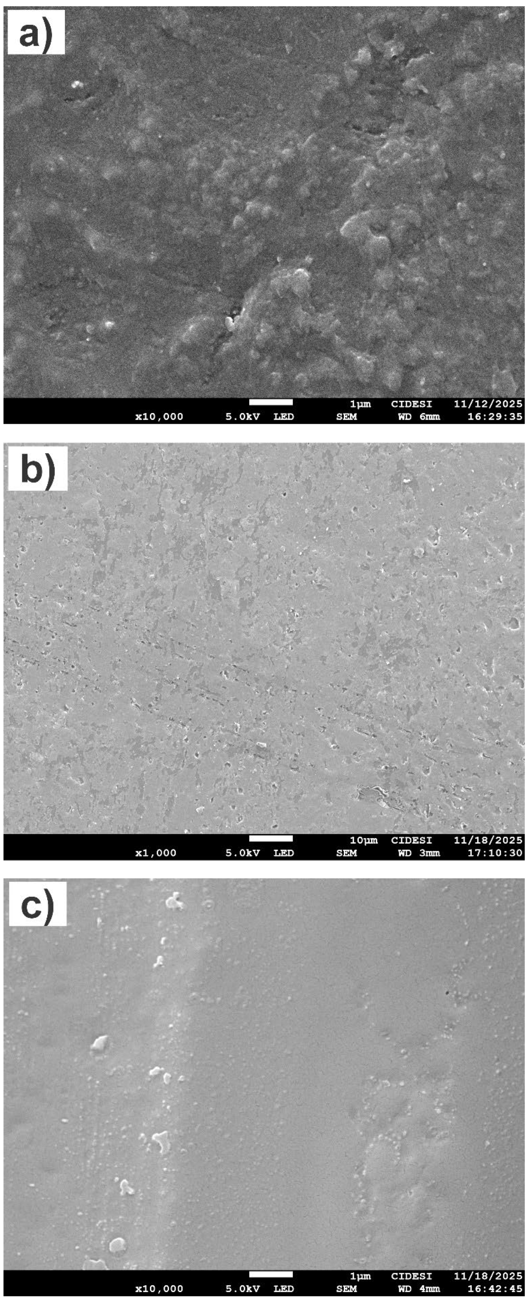 Preprints 191634 g009