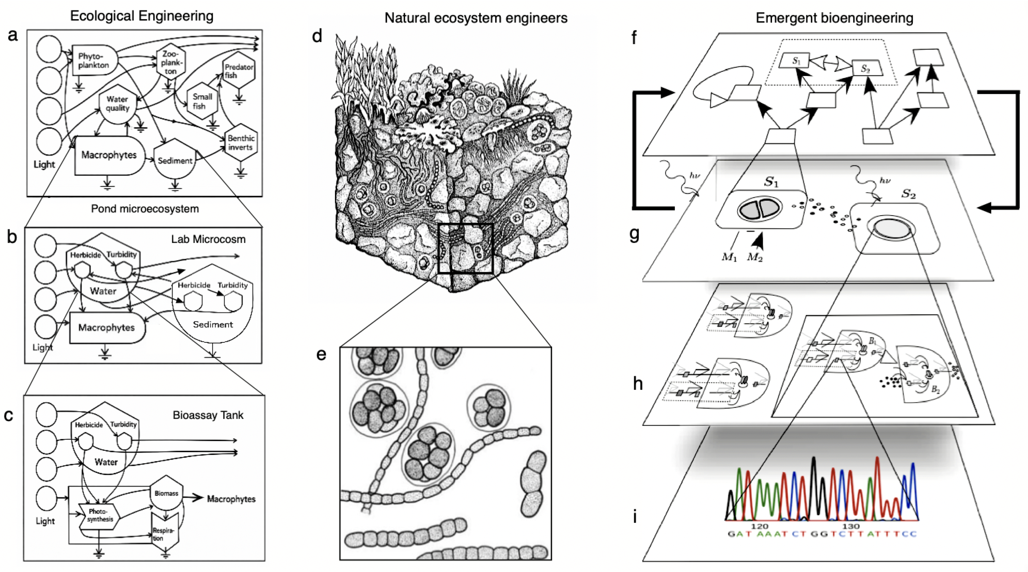 Preprints 199363 g002