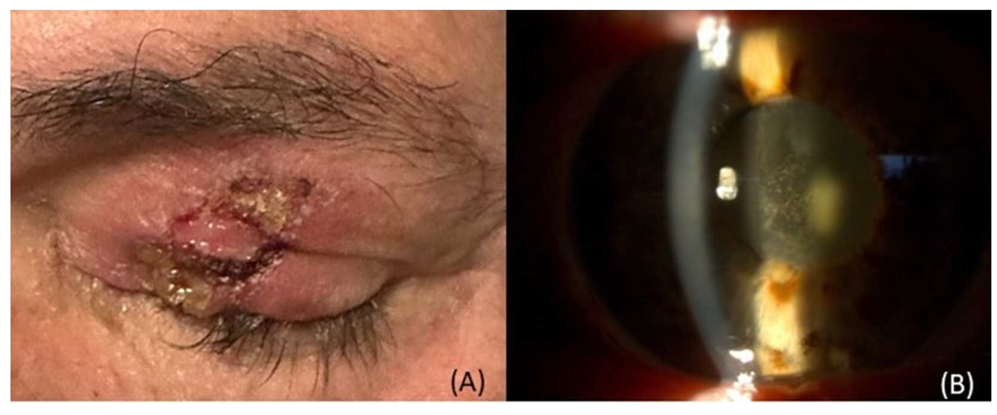 Preprints 72368 g001