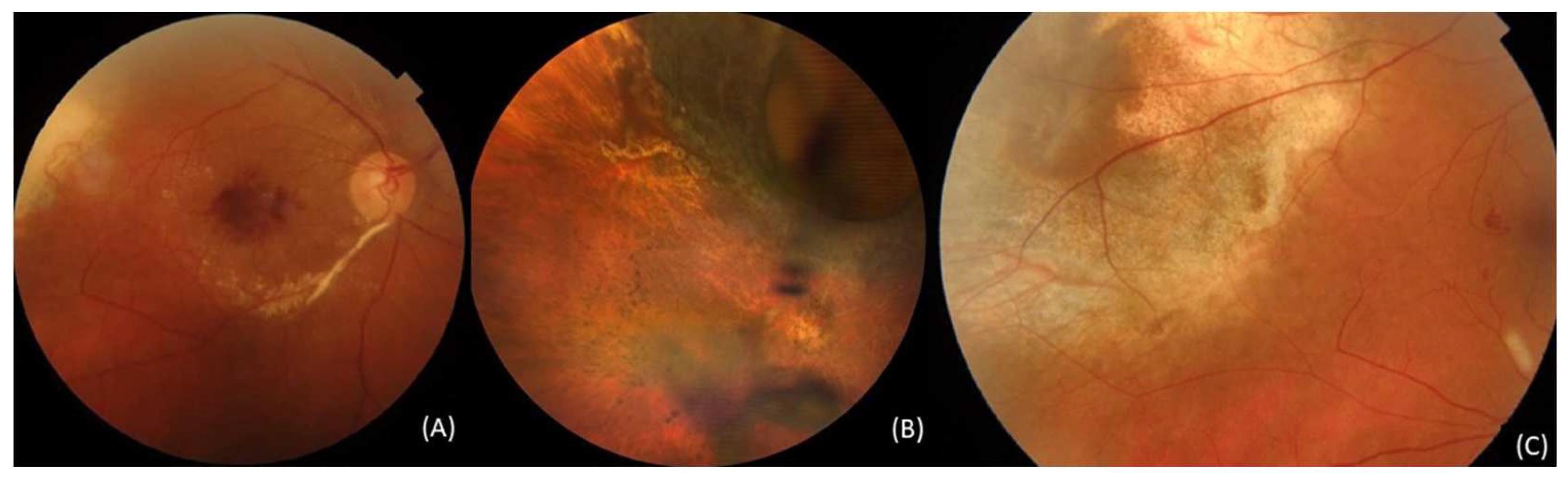 Preprints 72368 g002