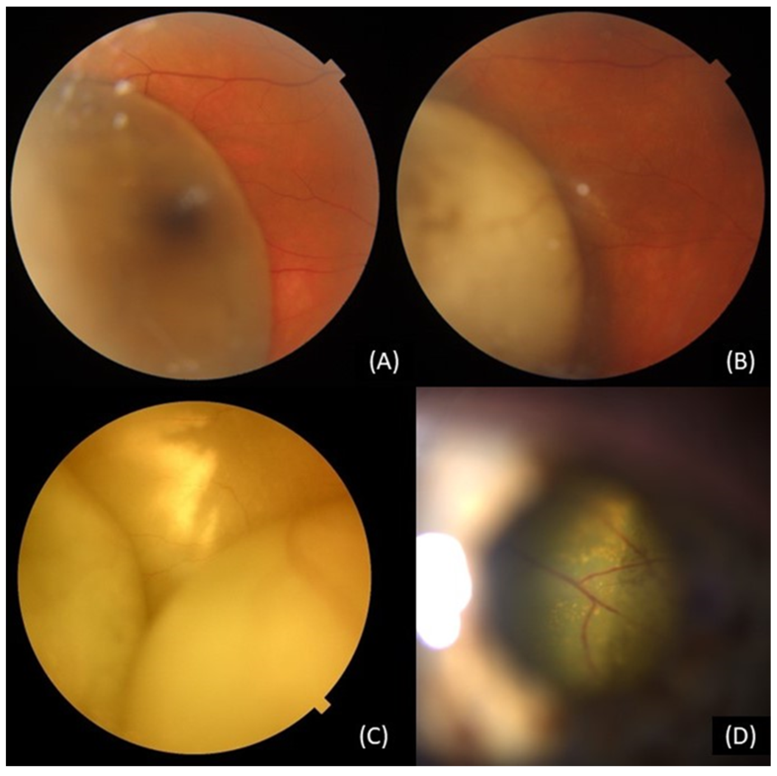 Preprints 72368 g003