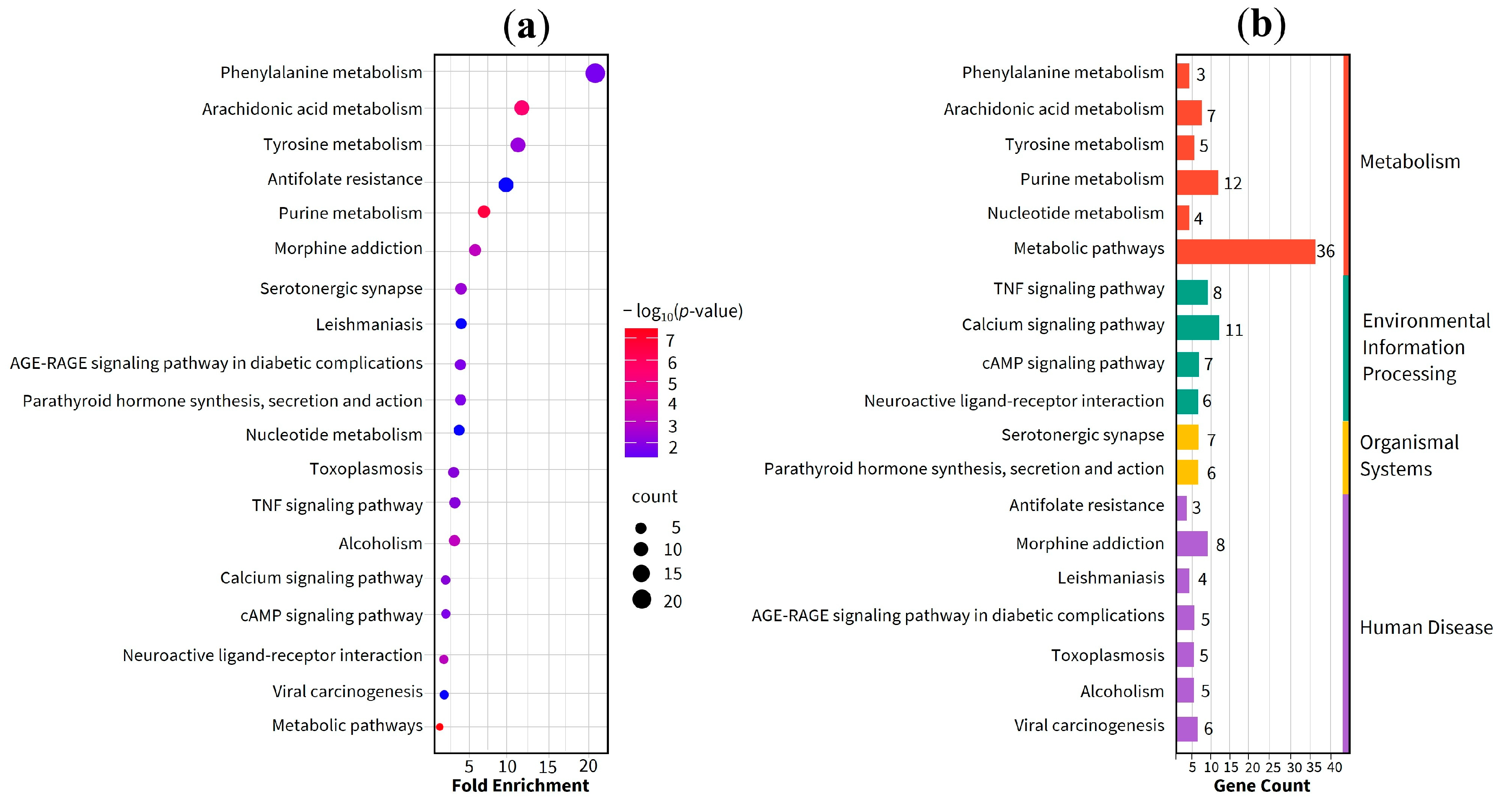 Preprints 198920 g004