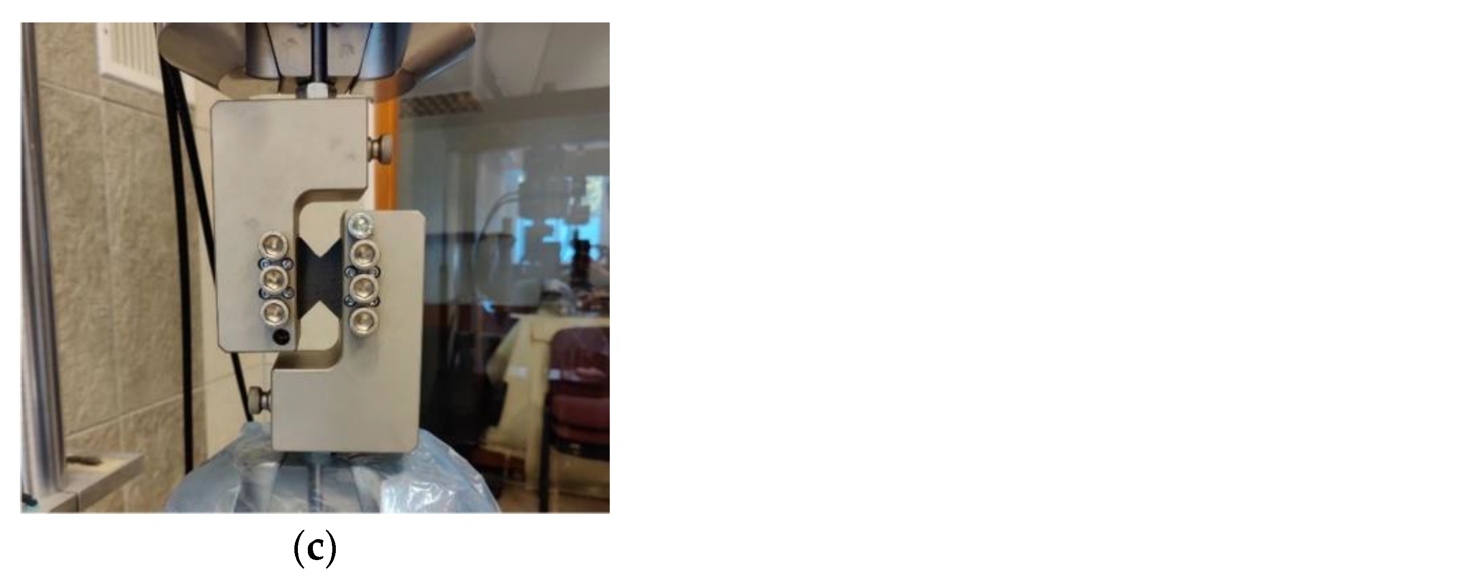 Preprints 186147 g012b