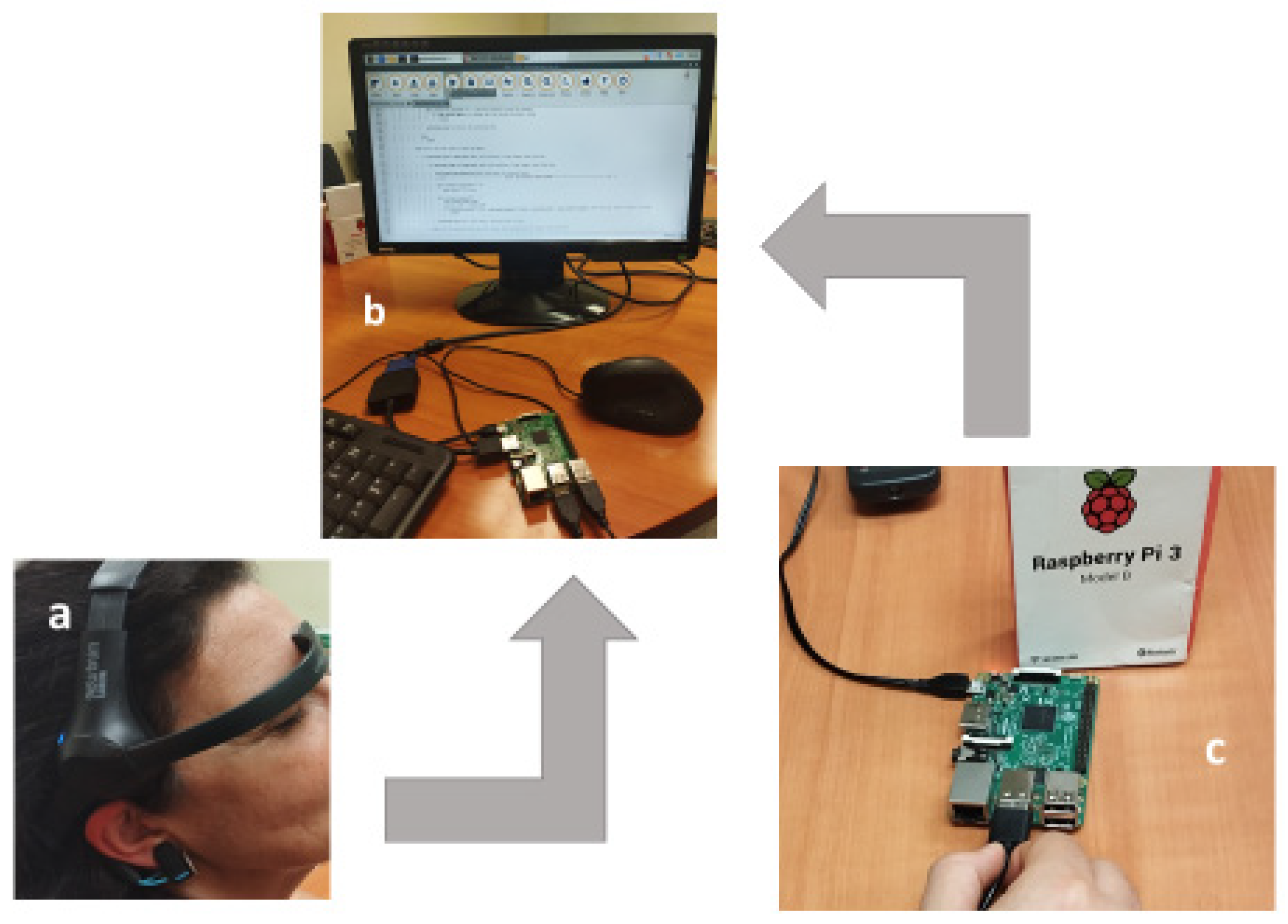 Preprints 158654 g001