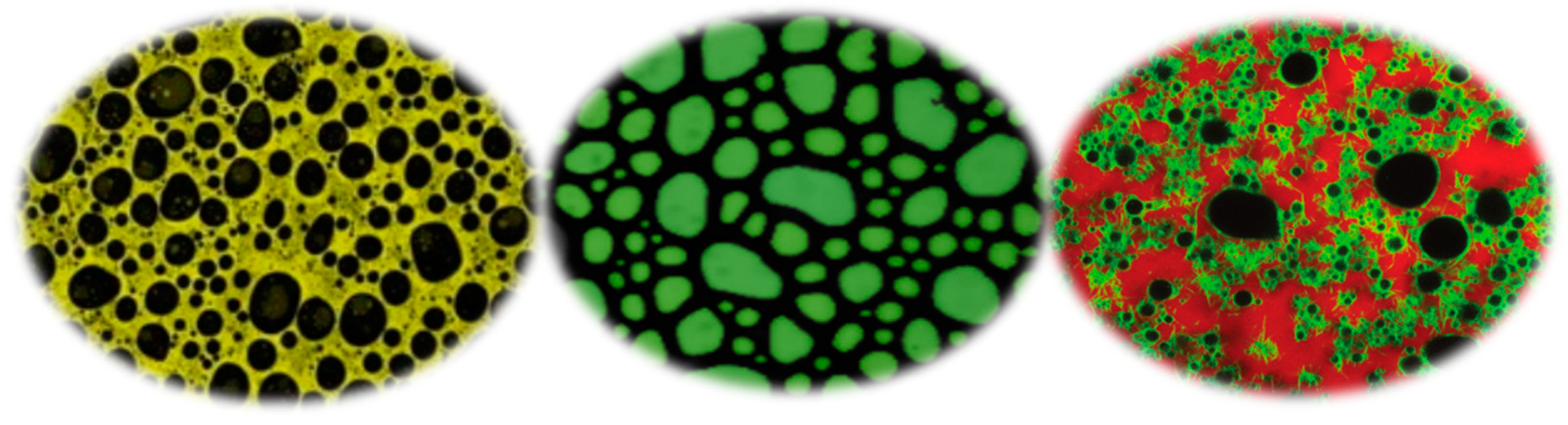 Preprints 141416 g002