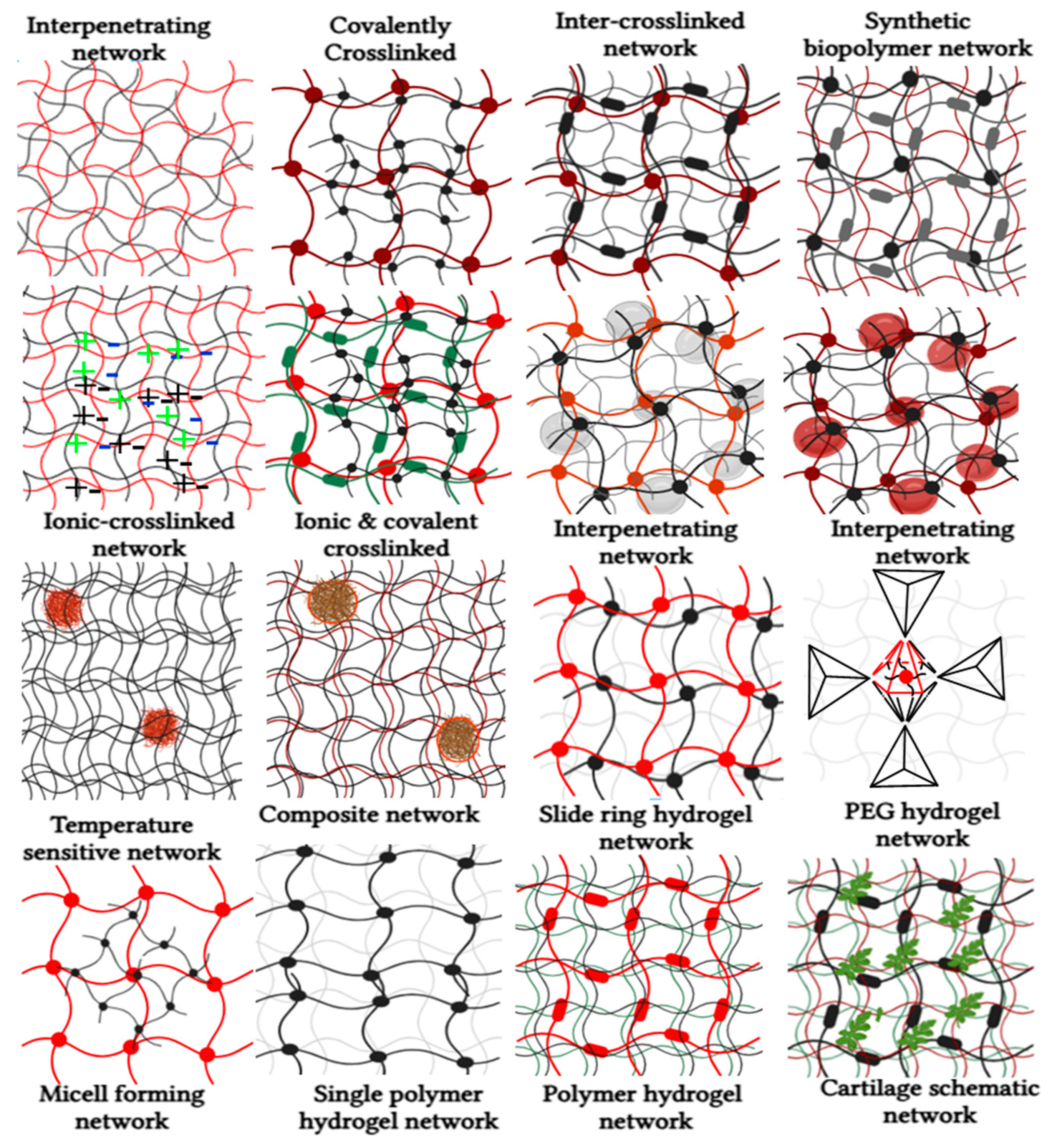 Preprints 141416 g003