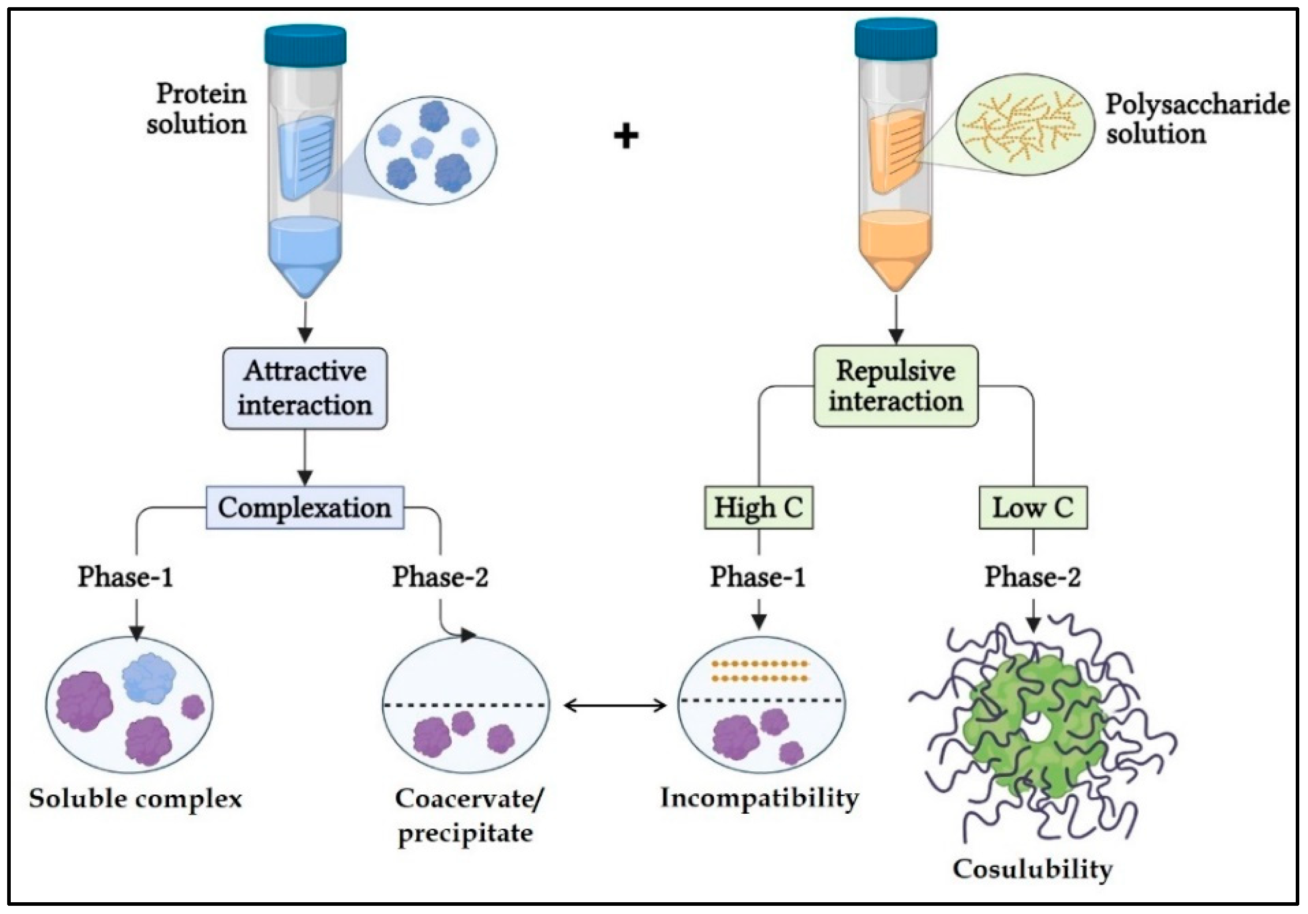 Preprints 141416 g004