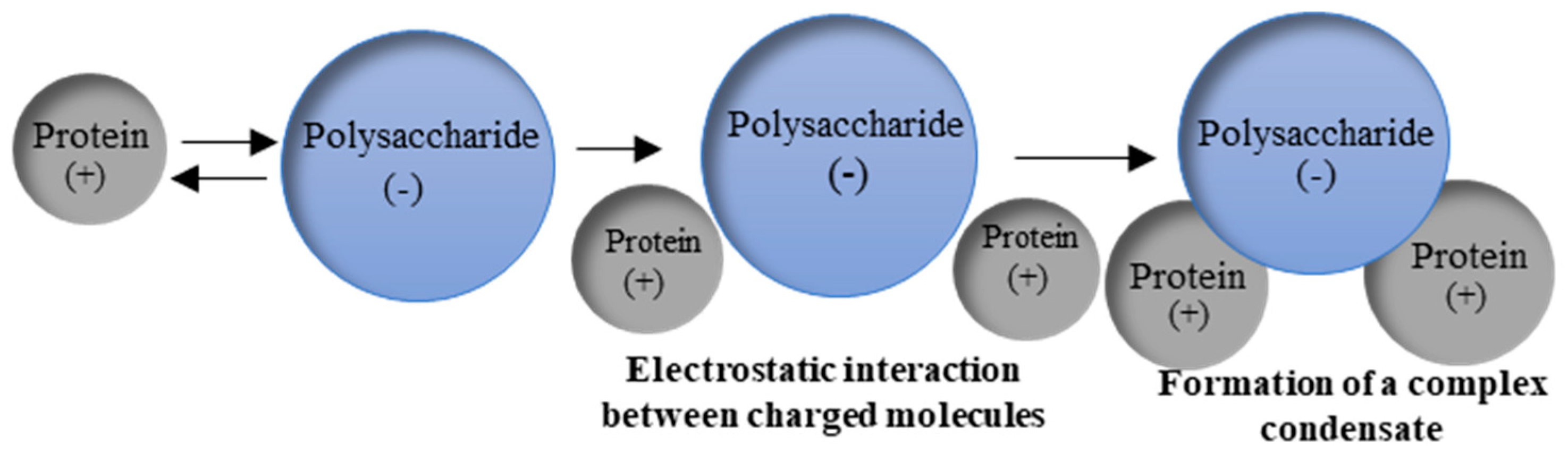 Preprints 141416 g006