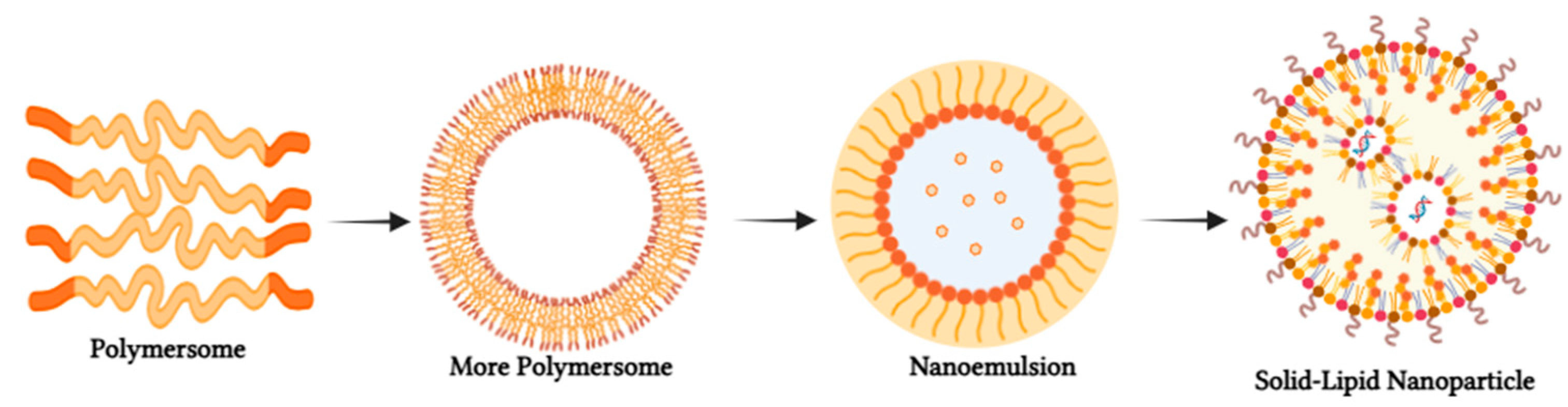 Preprints 141416 g008