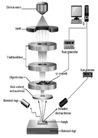 Preprints 141416 i001