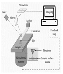 Preprints 141416 i002