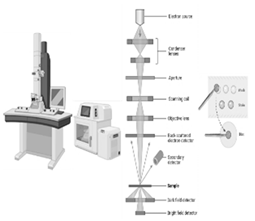 Preprints 141416 i003