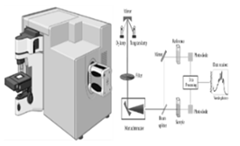 Preprints 141416 i008