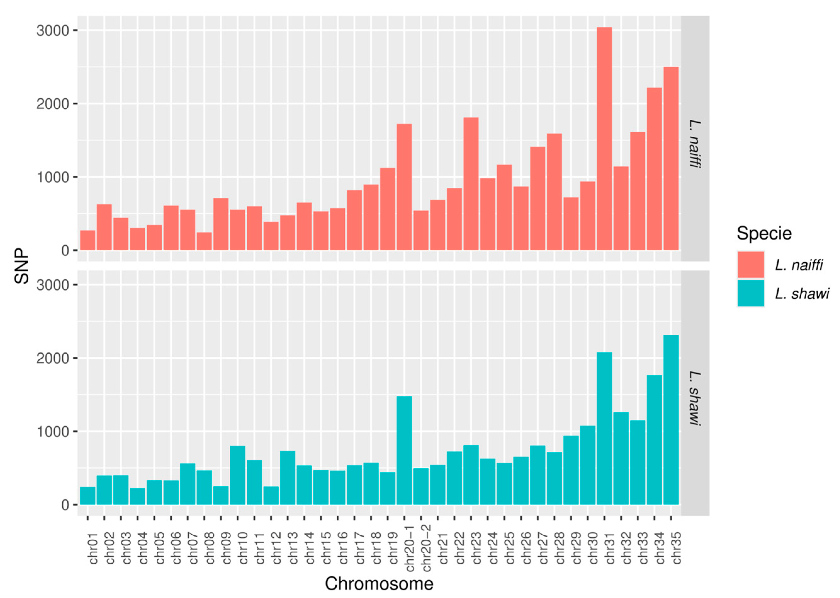 Preprints 190567 g005