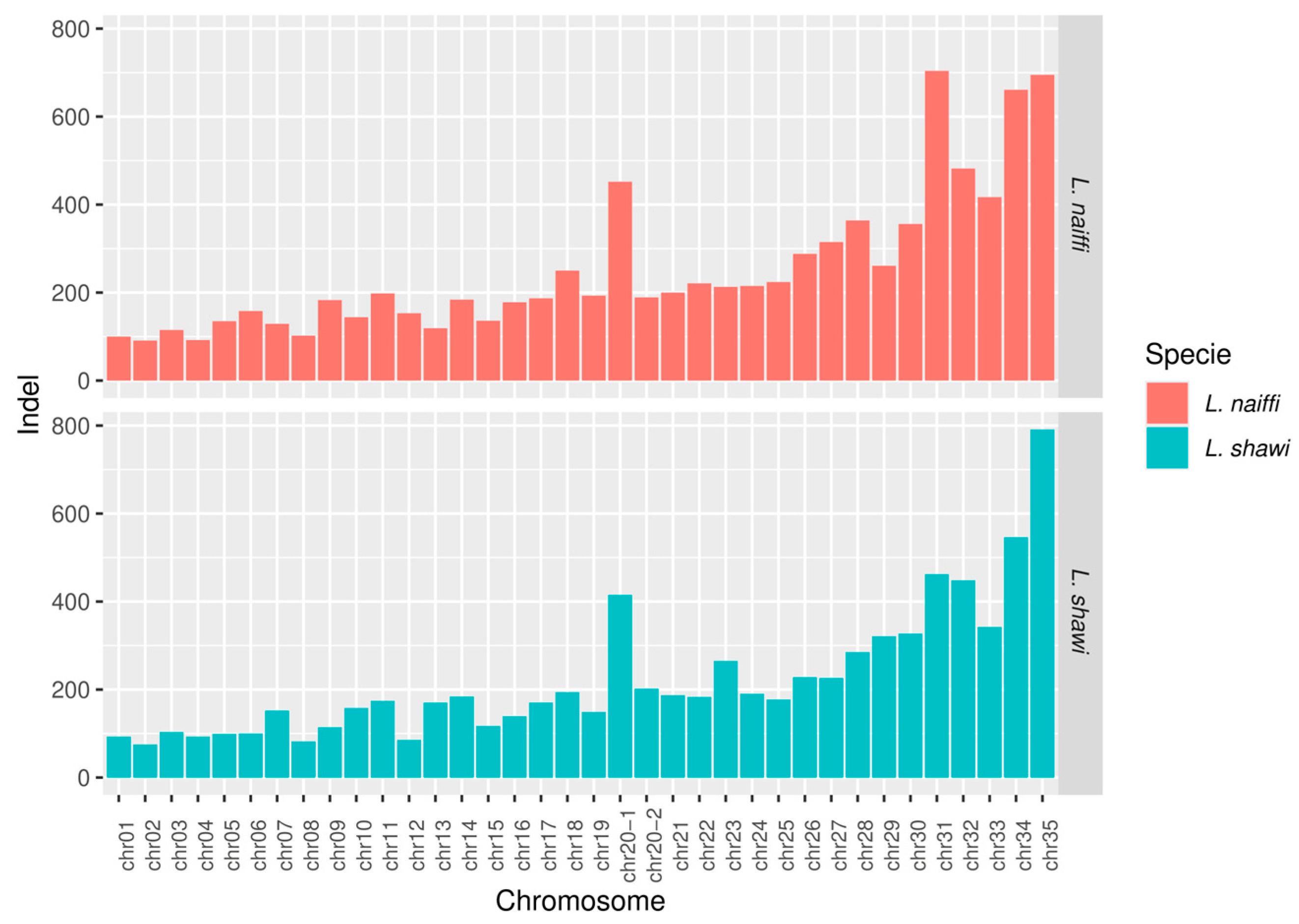 Preprints 190567 g006
