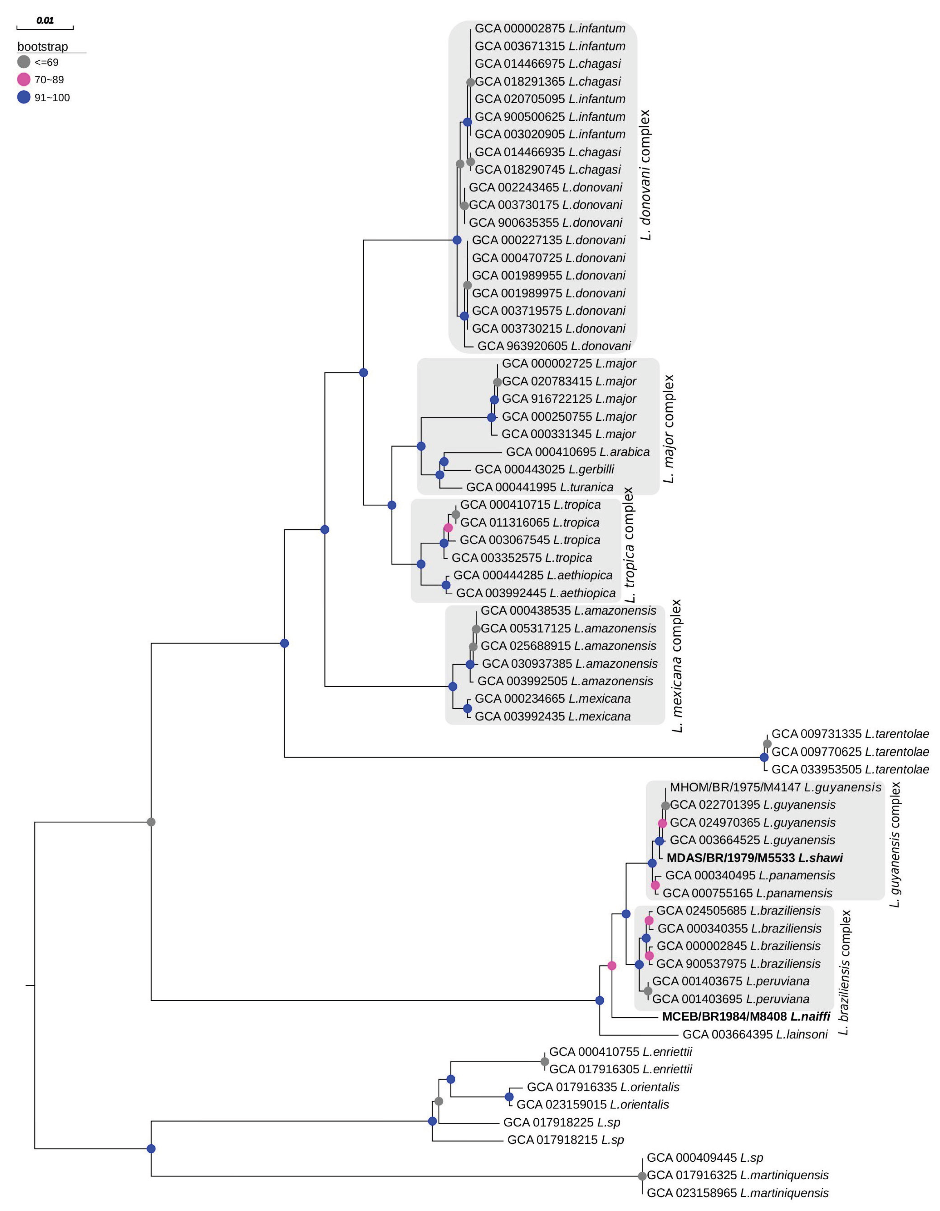 Preprints 190567 g007