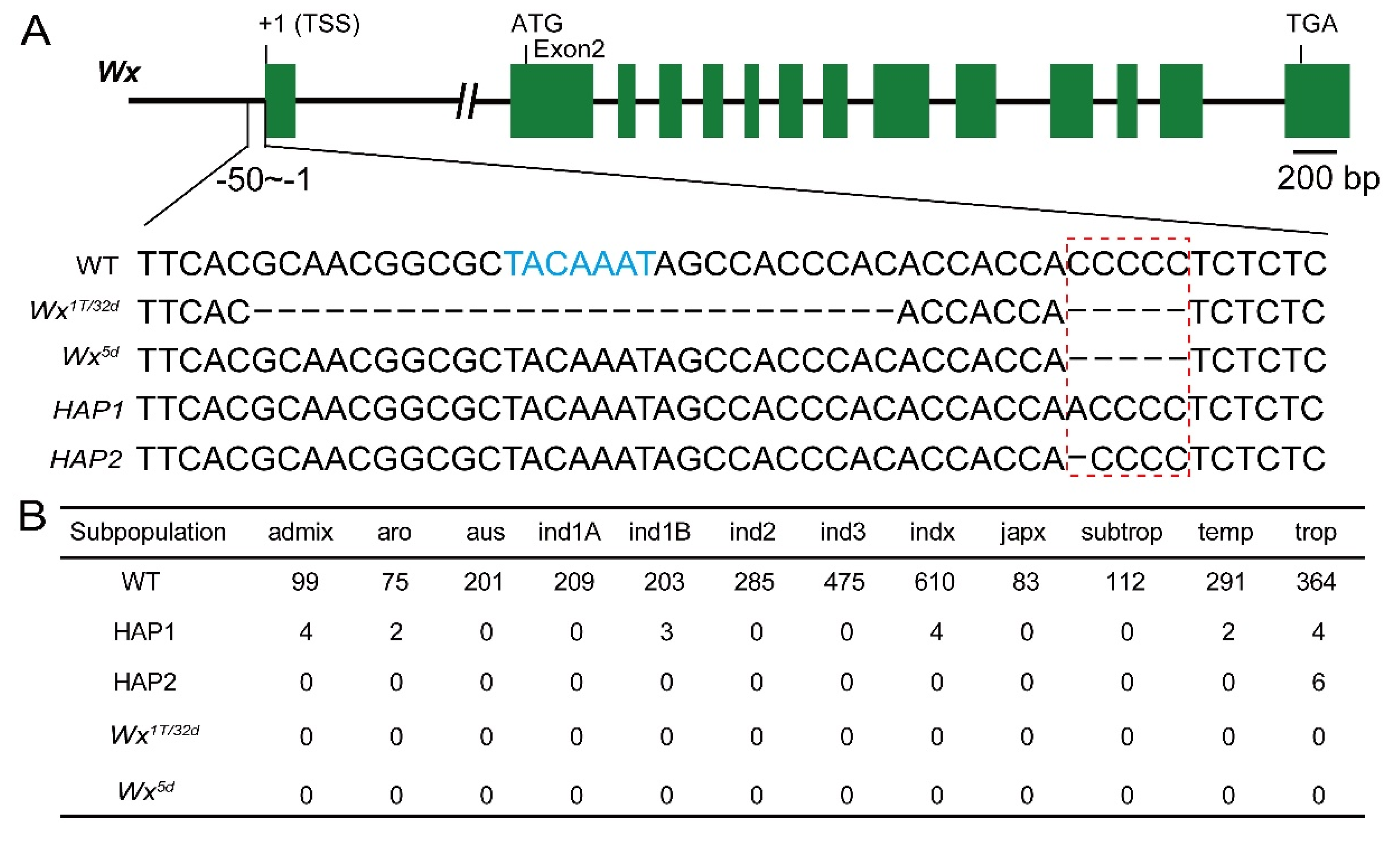 Preprints 211019 g001
