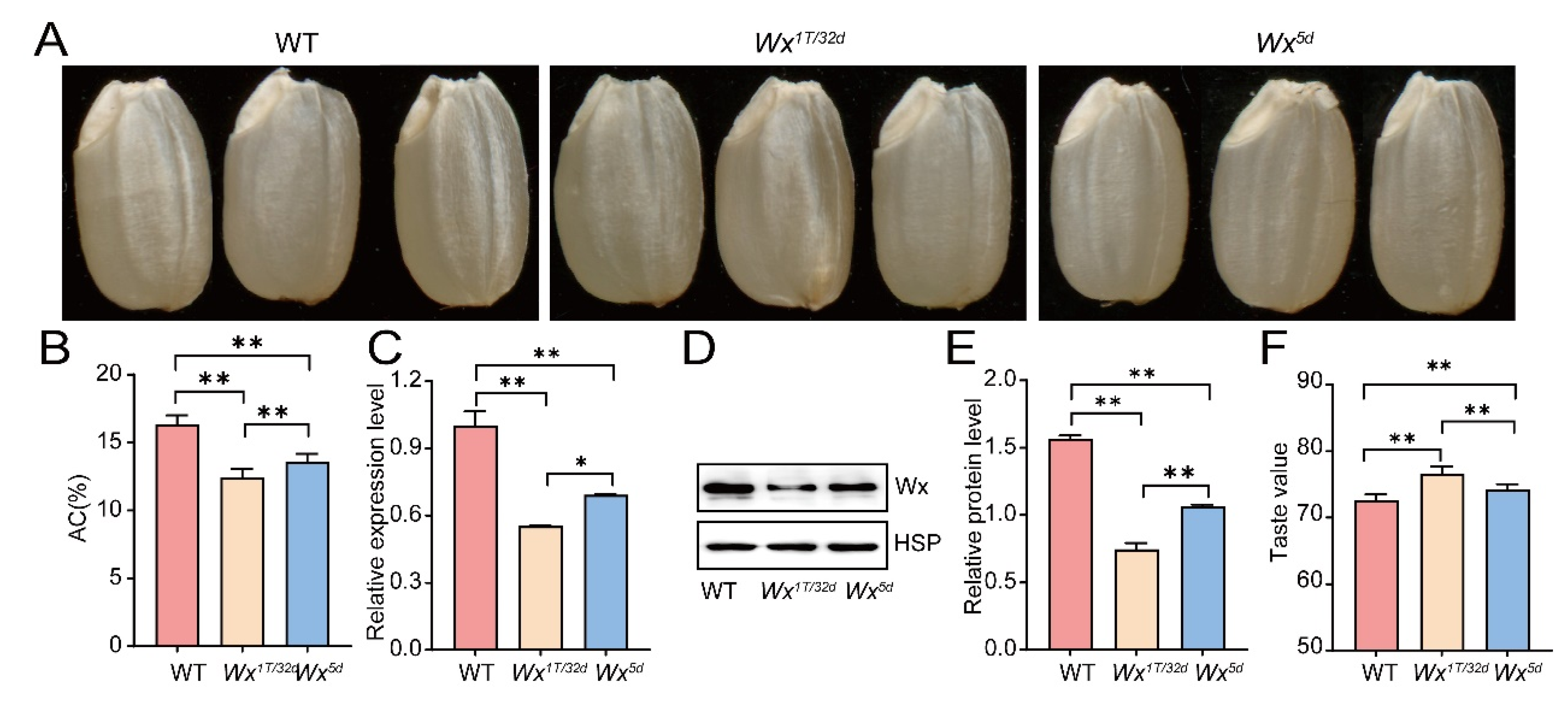 Preprints 211019 g002