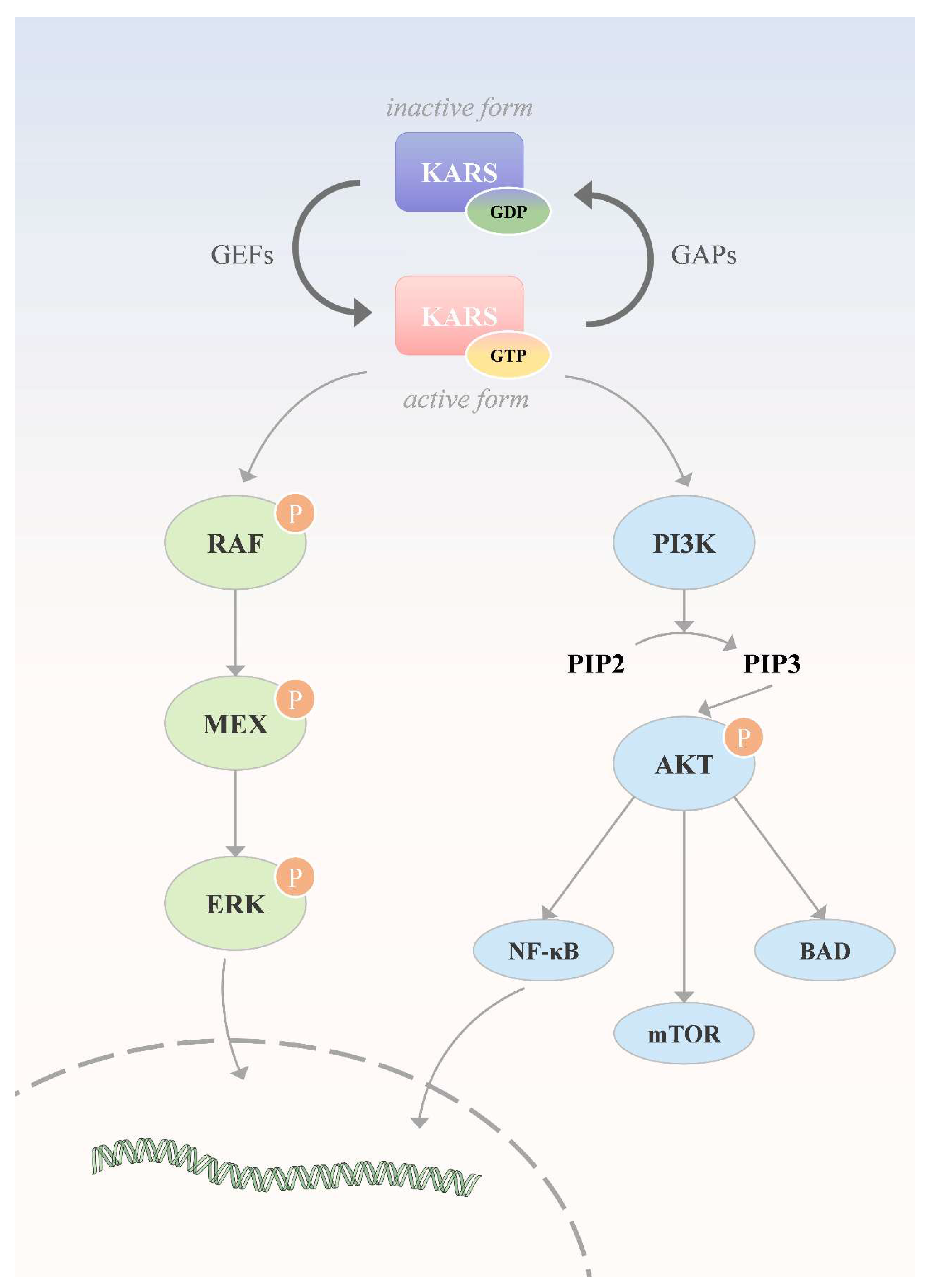 Preprints 173462 g003
