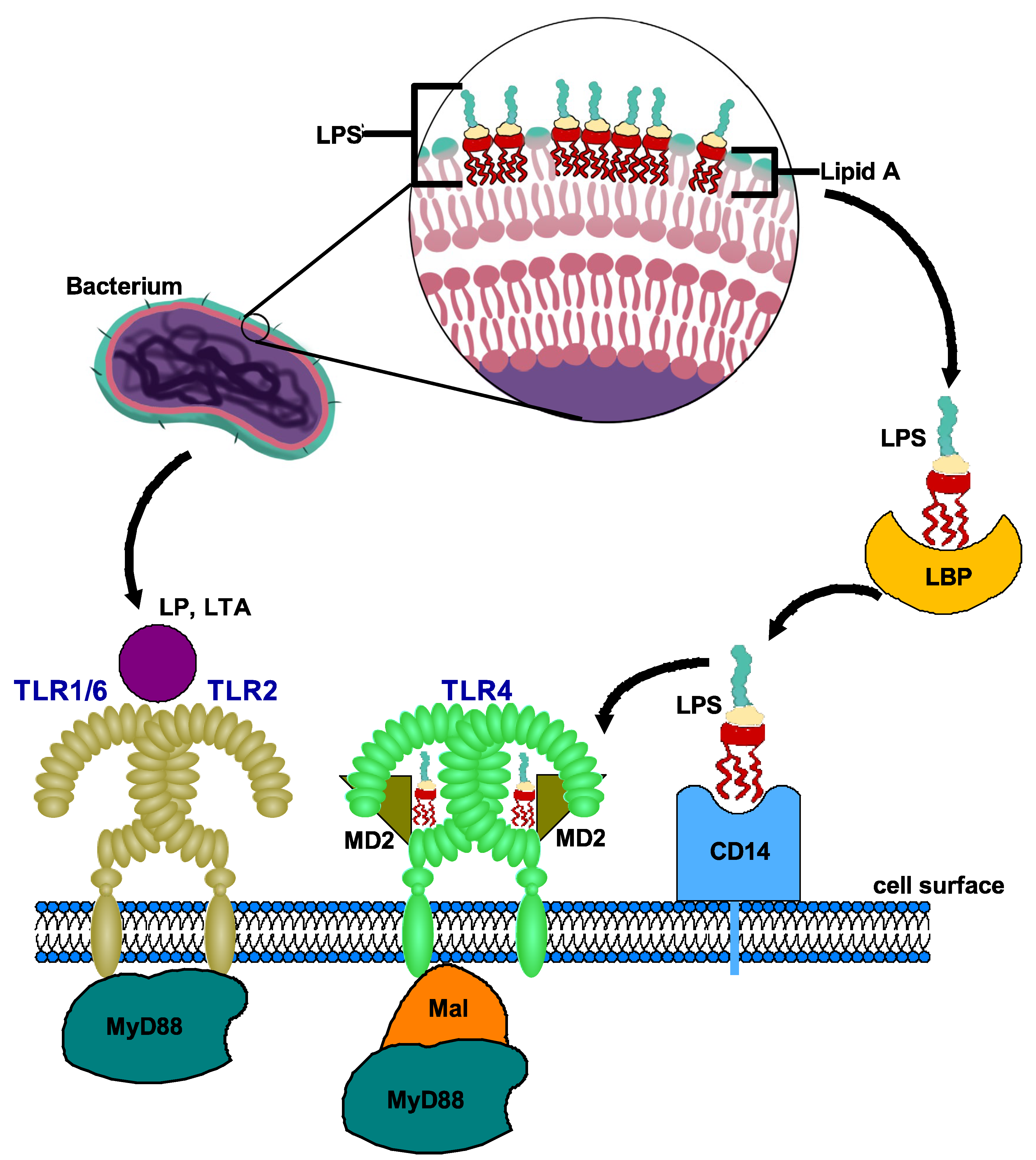 Preprints 175458 g001