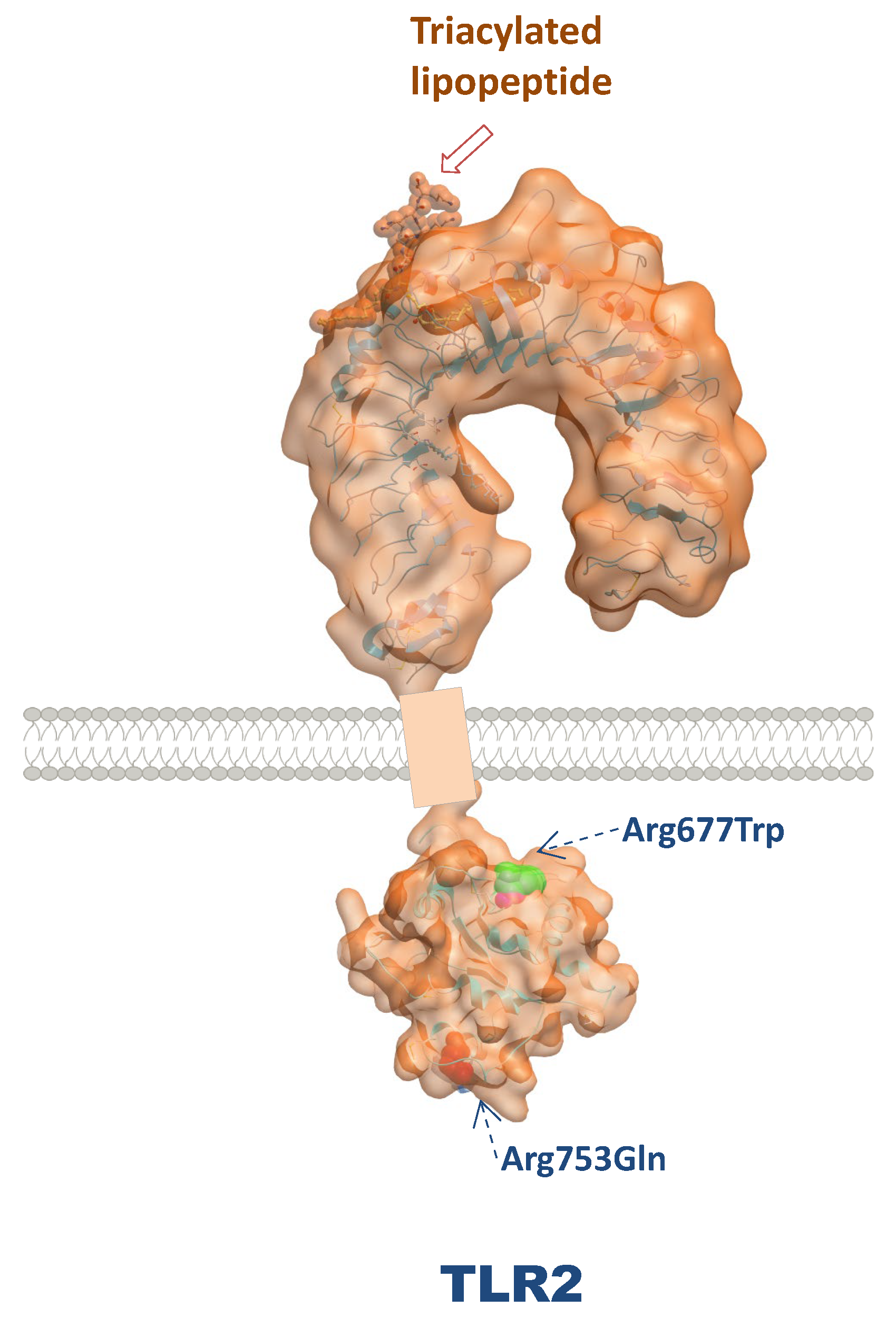 Preprints 175458 g004