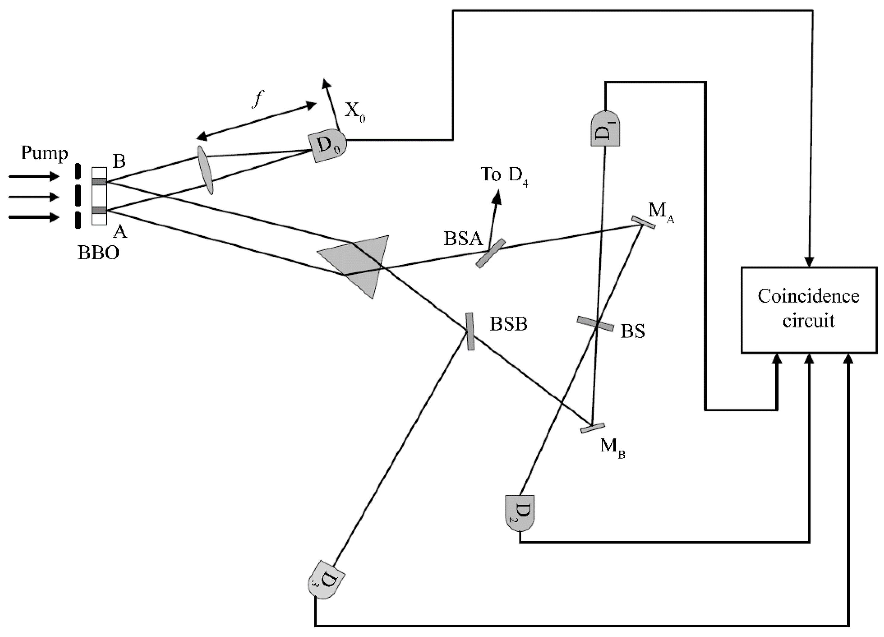 Preprints 219417 g006