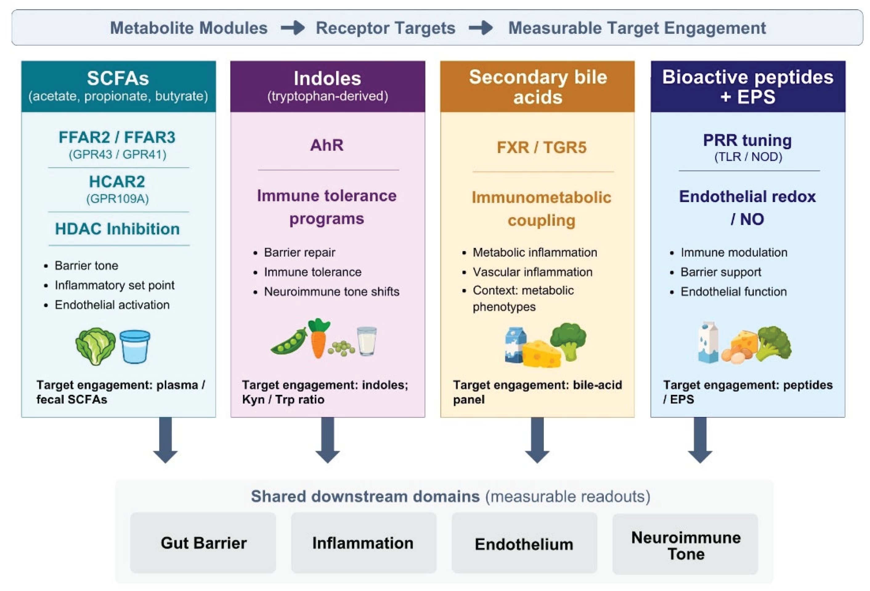 Mechanism-First Psychobiotics: Fermented Vegetables, Dairy, and